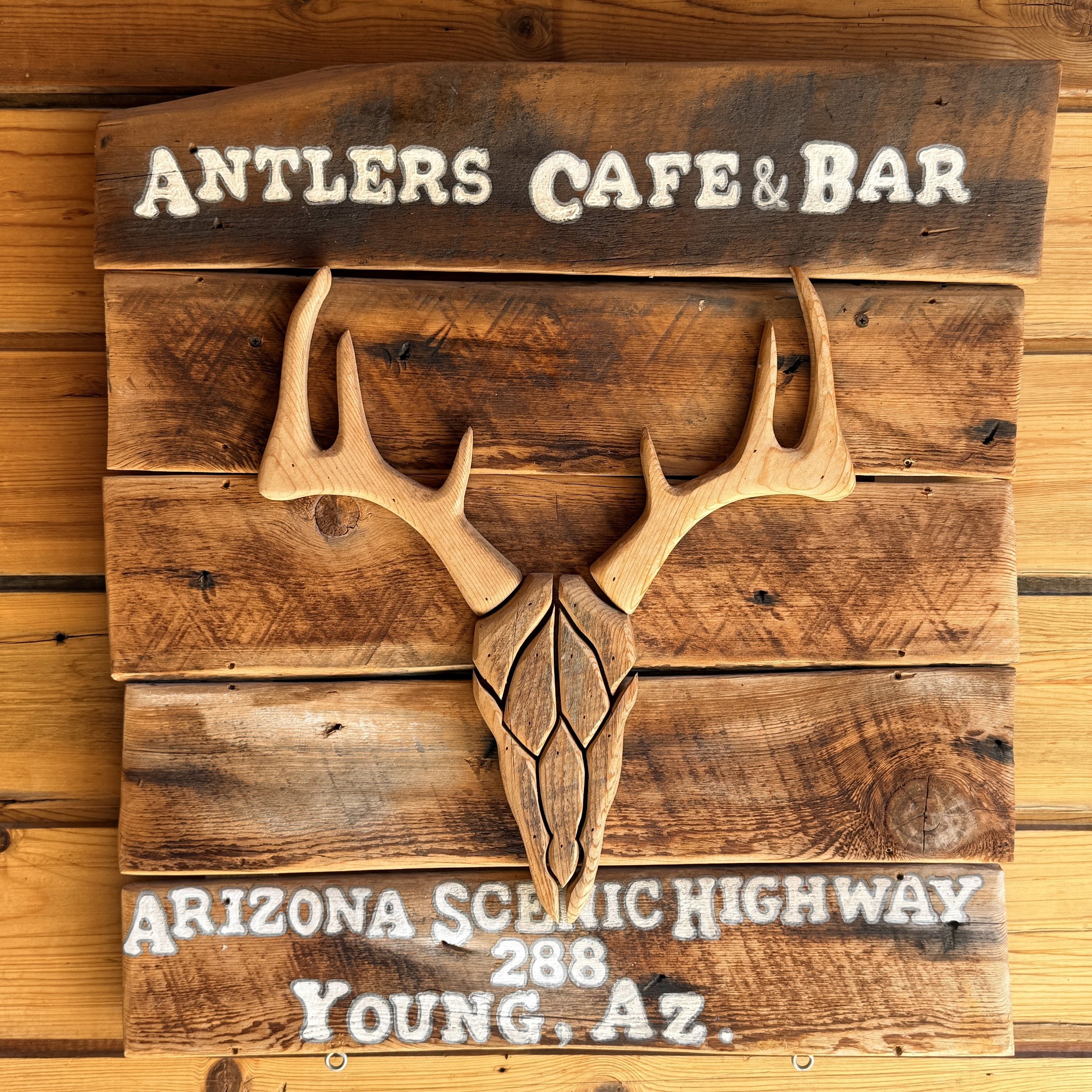 Entering Young, AZ, for a quick lunch. A weird place that gives off unique vibes. 