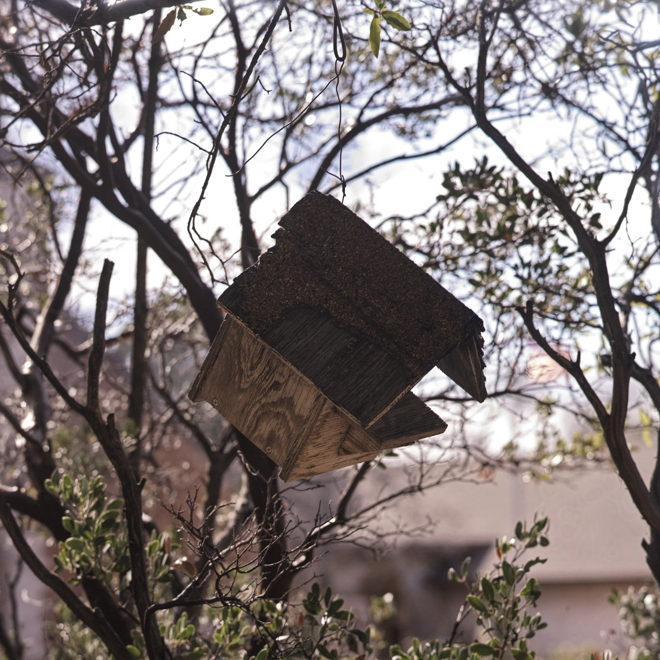 B0010P_0017.jpg