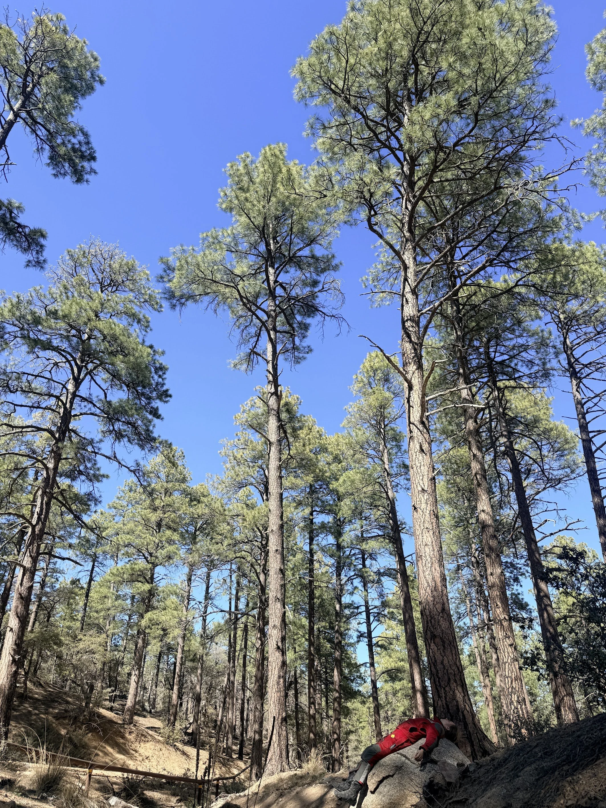 Naomi taking a well deserved rest. The wind blew through the mountains as we relaxed bringing with it warmer air turning winter into summer with a snap of the finger. 