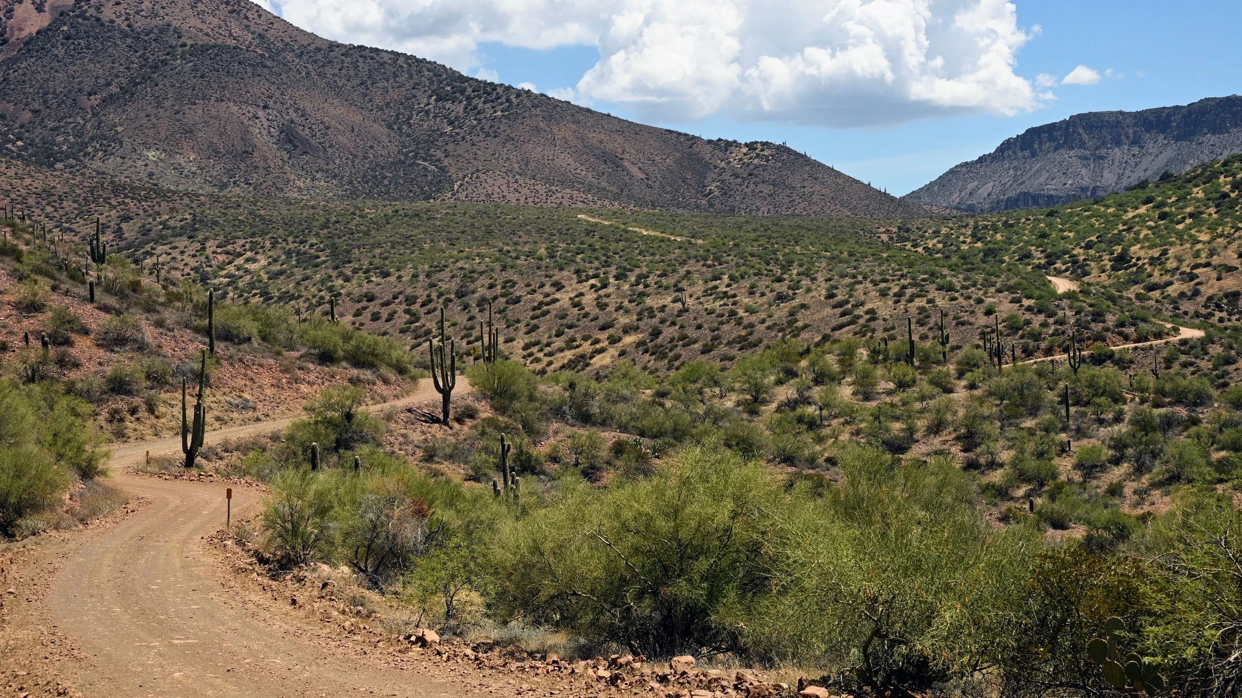 Saturday, August 15, 2026; A-Cross Road (Tonto Basin, AZ); Nikon ZR w/ 24-70mm