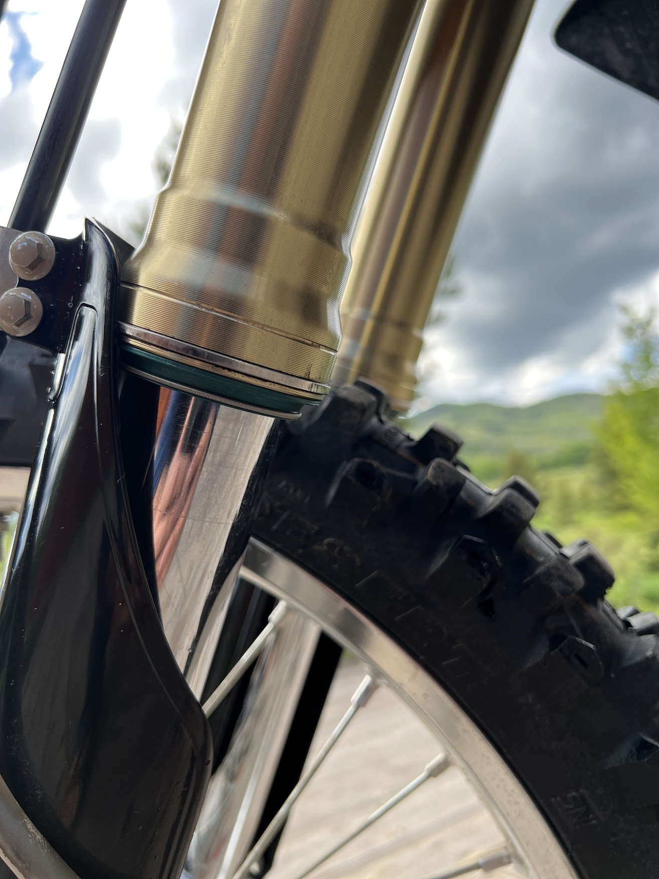 I had the front forks rebuilt professionally. 