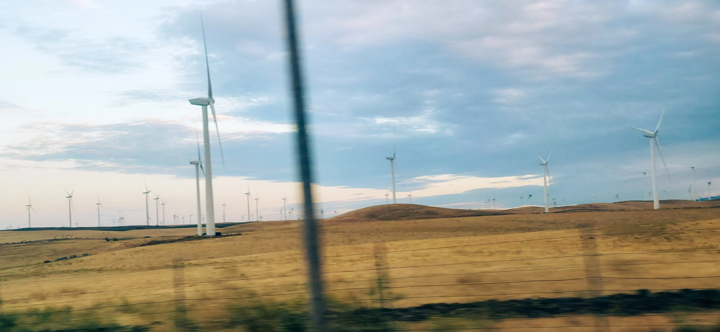 20260719_200724.jpg