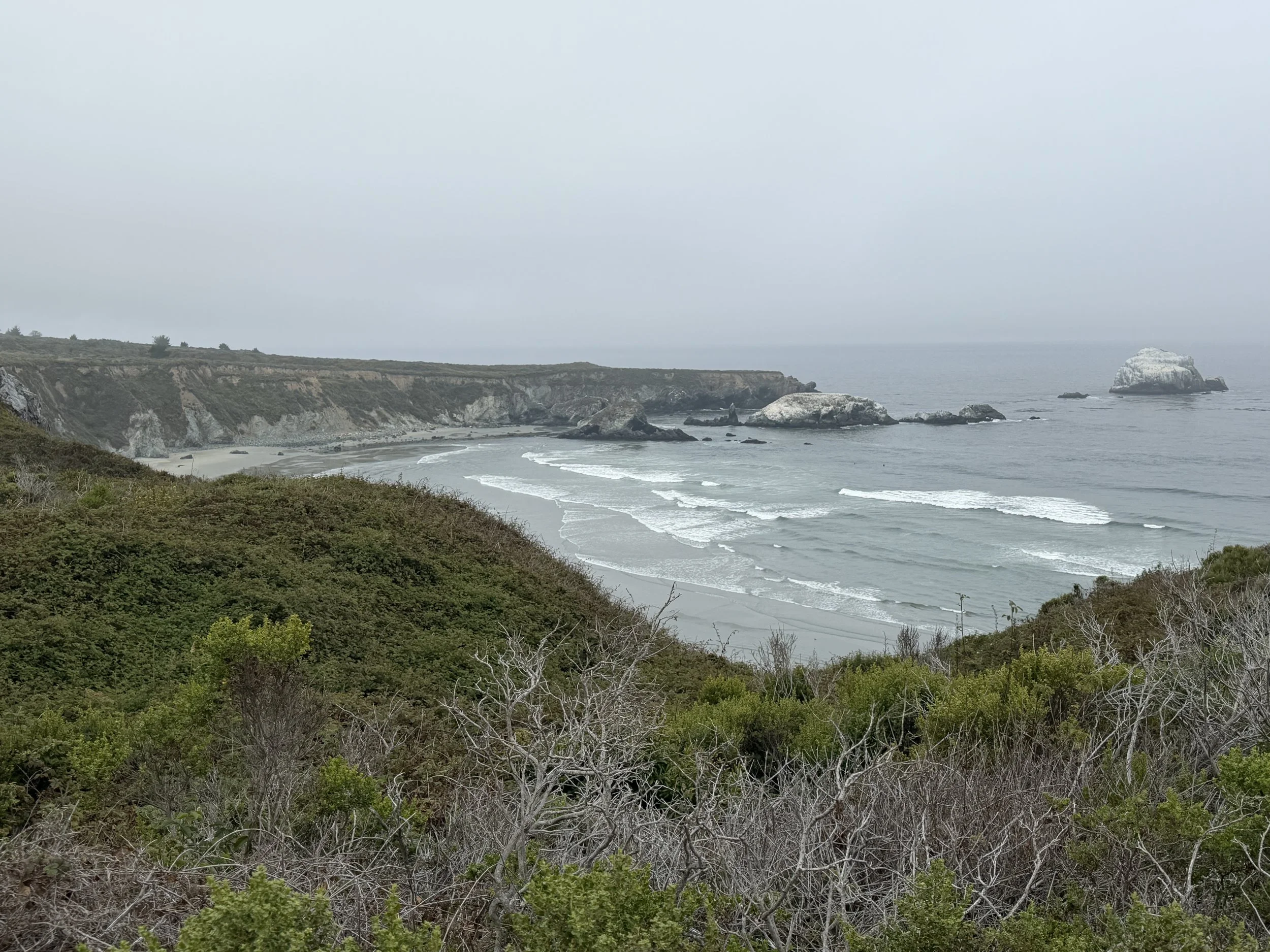 IMG_7715.JPG
