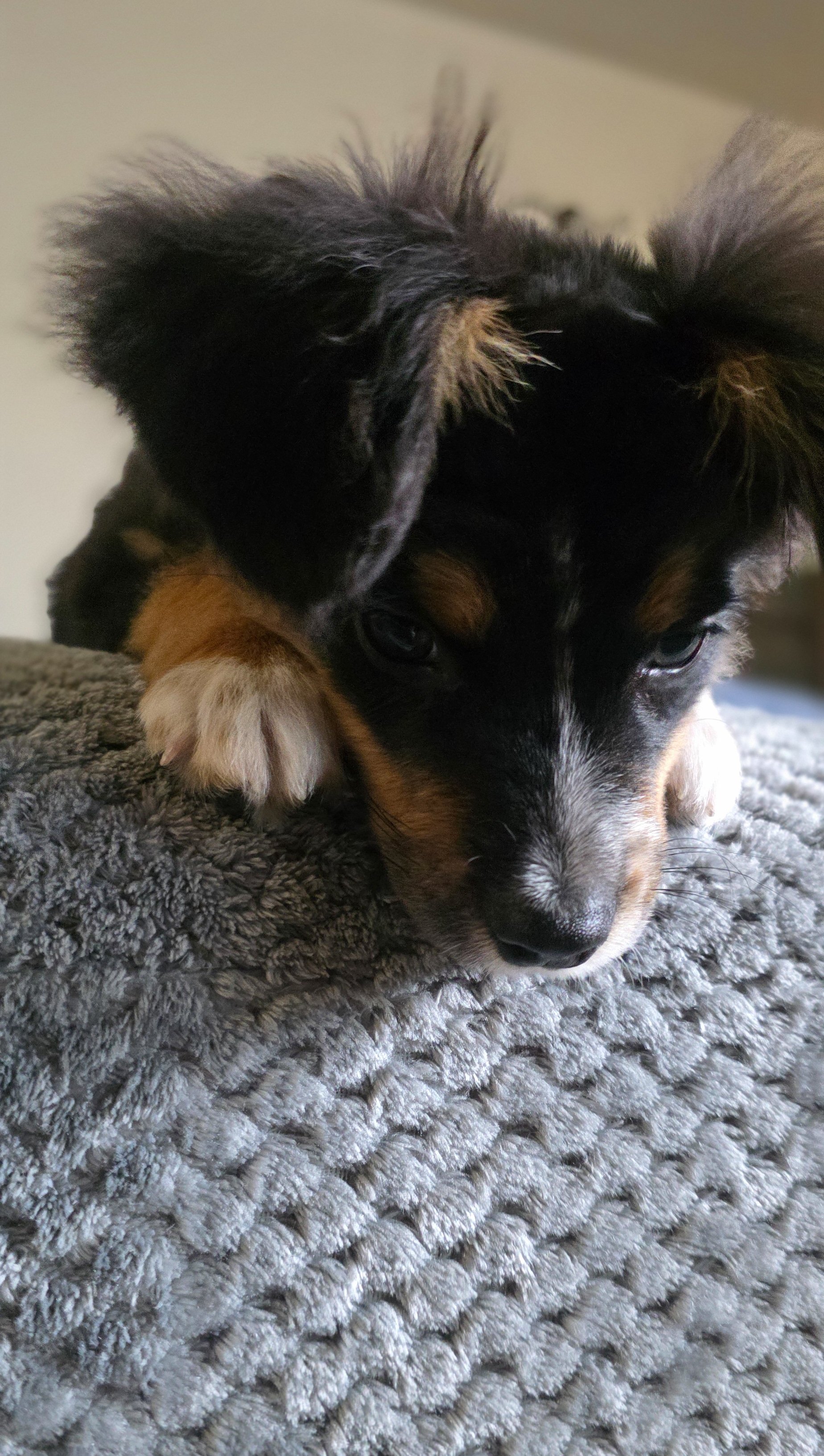 20260719_175045.jpg