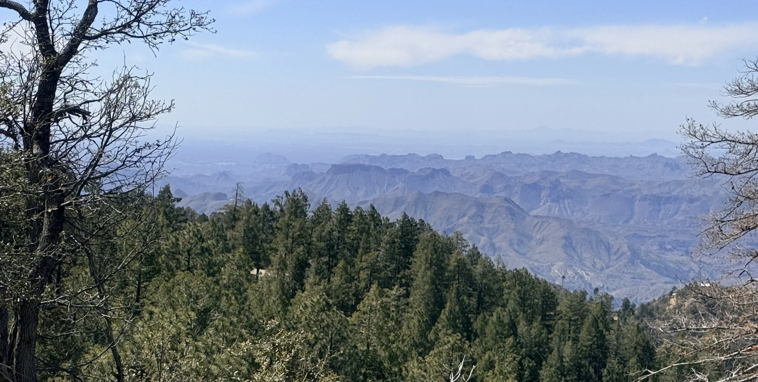 Beautiful vistas were abundant as we made our way higher into the mountains outside of Globe (to the south). 