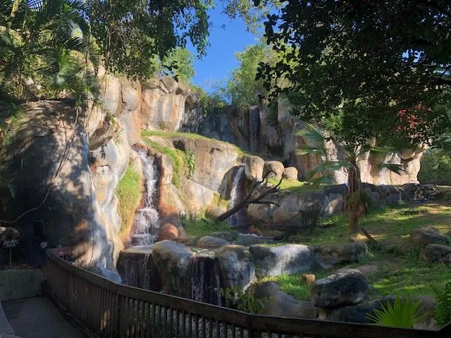 A scenic outdoor area with a rocky waterfall feature, lush green trees, and foliage, under a clear blue sky, viewed from a pathway with a wooden railing.