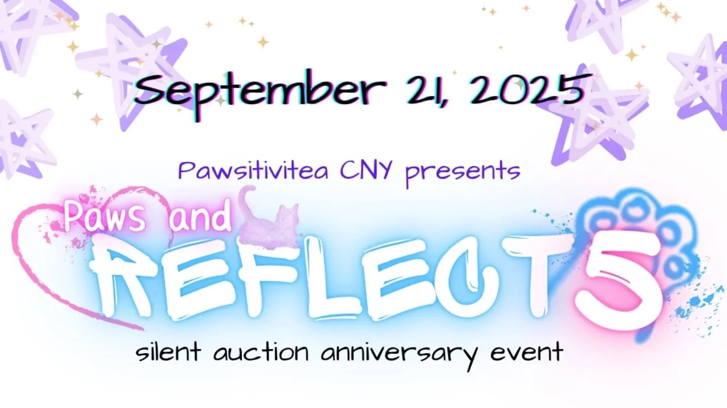 Come to Paws and Reflect at the CNY Regional Market!