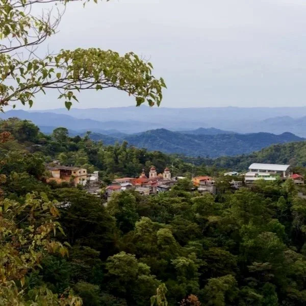 Nabesta colabora con cooperativas indígenas en Oaxaca, regenerando bosques y fortaleciendo economías locales mediante producción agroecológica