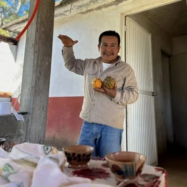 Nabesta colabora con cooperativas indígenas en Oaxaca, regenerando bosques y fortaleciendo economías locales mediante producción agroecológica