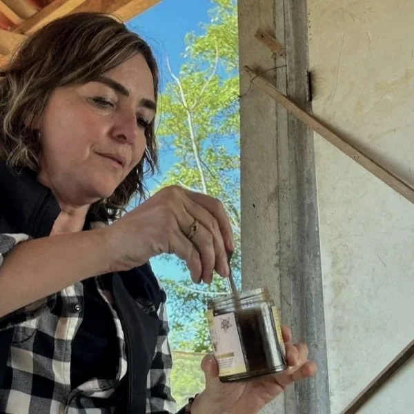Nabesta colabora con cooperativas indígenas en Oaxaca, regenerando bosques y fortaleciendo economías locales mediante producción agroecológica de café, miel y especias en sistemas agroforestales