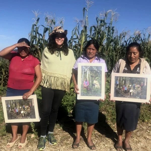 Nabesta colabora con cooperativas indígenas en Oaxaca, regenerando bosques y fortaleciendo economías locales mediante producción agroecológica de café, miel y especias en sistemas agroforestales