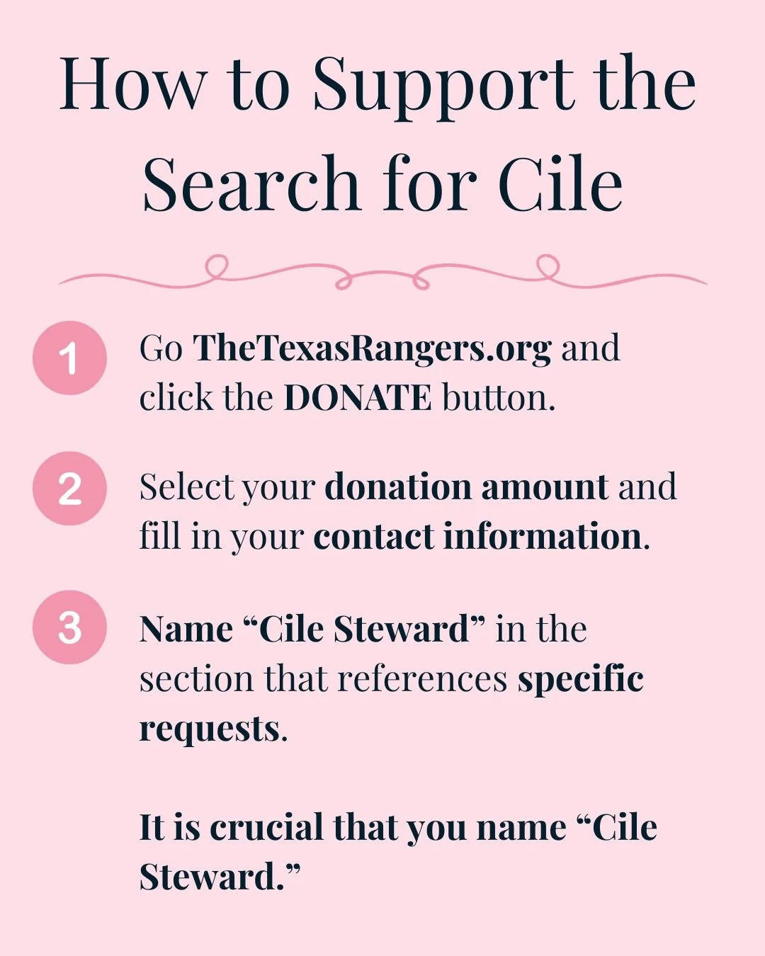 How to support the search for Cile 💖

The Texas Rangers Association Foundation is a 501(c)3 nonprofit that provides operational support in service to the citizens of Texas. They continue to lead the #SearchForCile (one of the #Heavens27 girls lost a