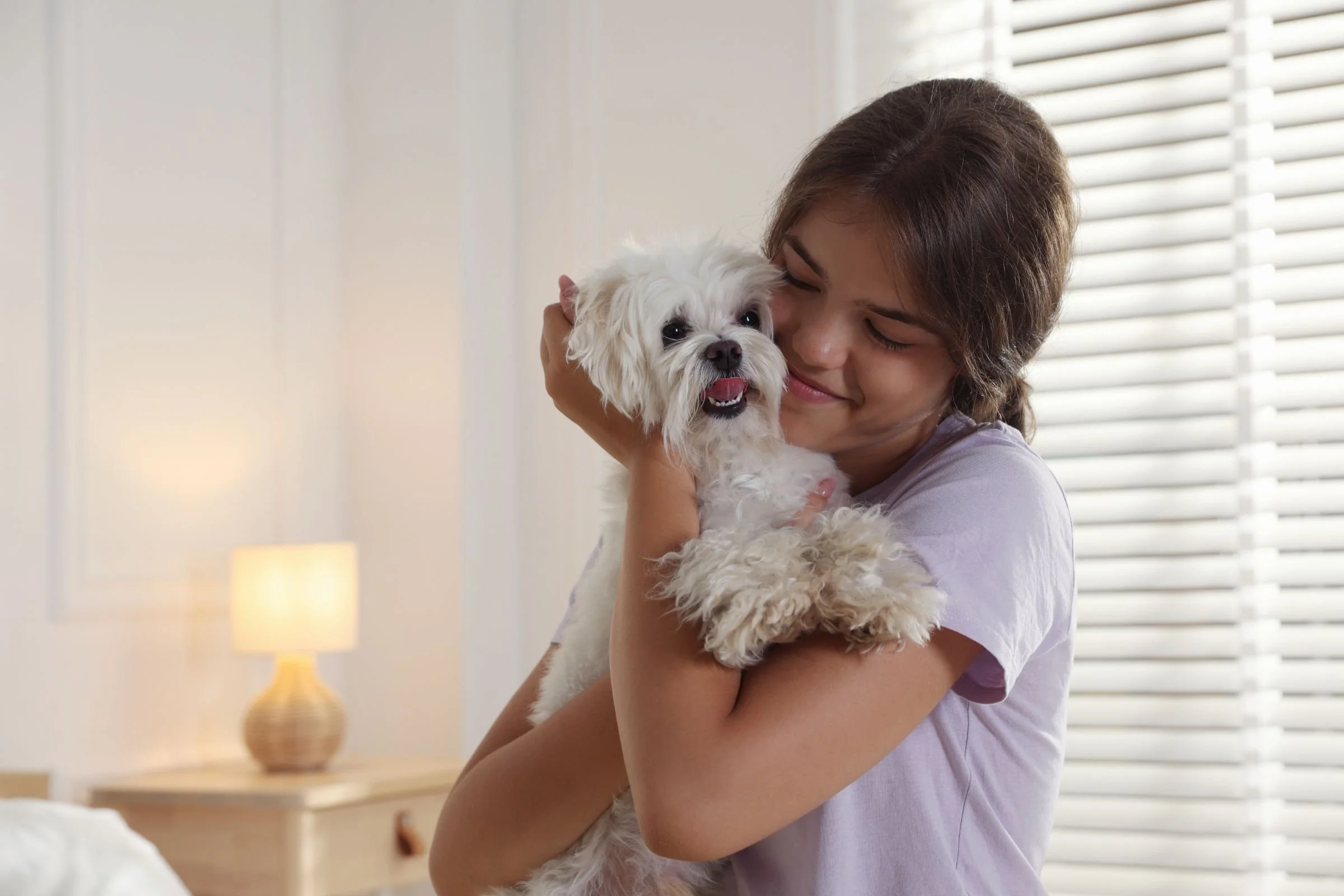 The Comfort of Animals: Connection, Care, and Regulation