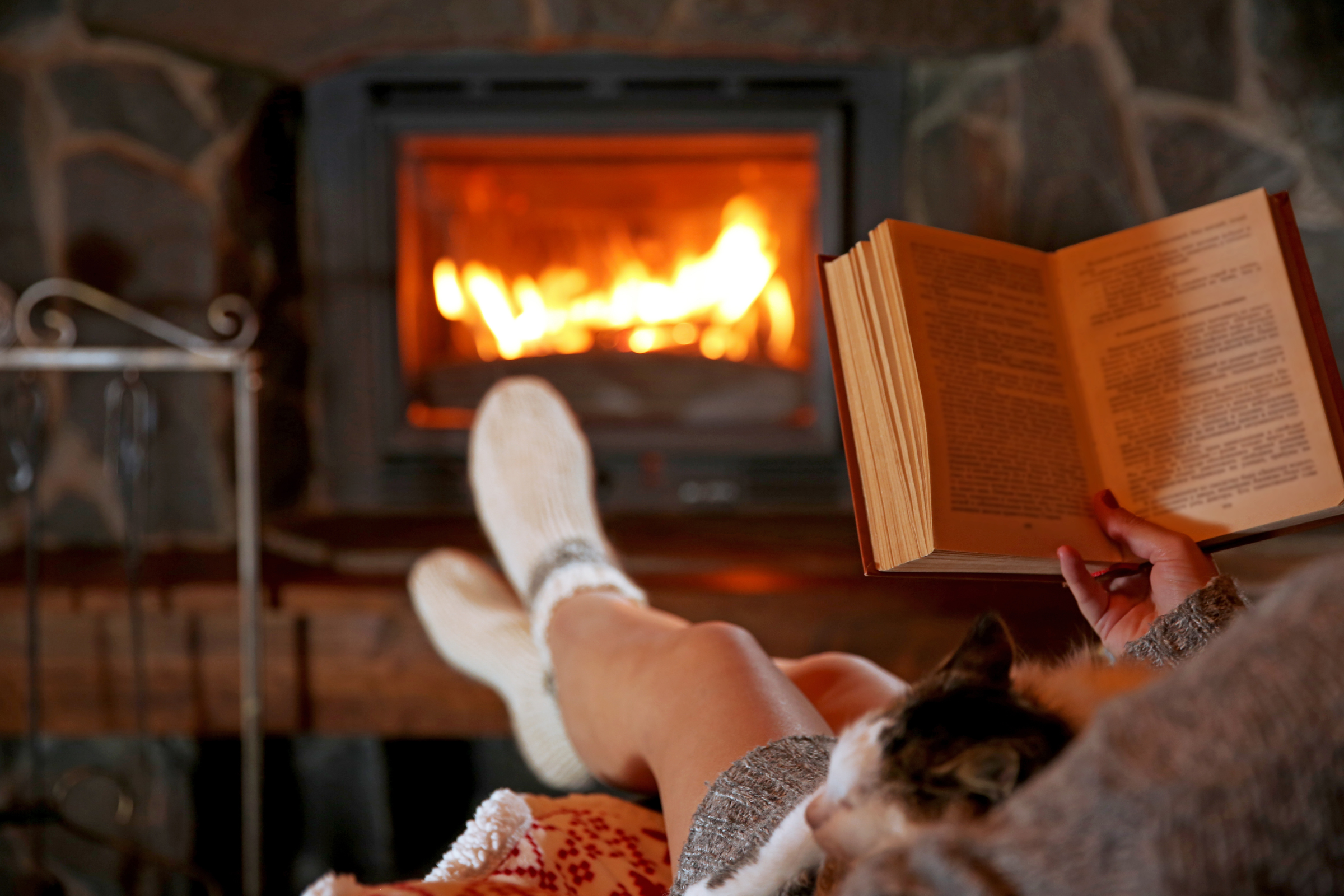 Person reading by a fire with a cat curled up nearby, creating a quiet winter moment.
