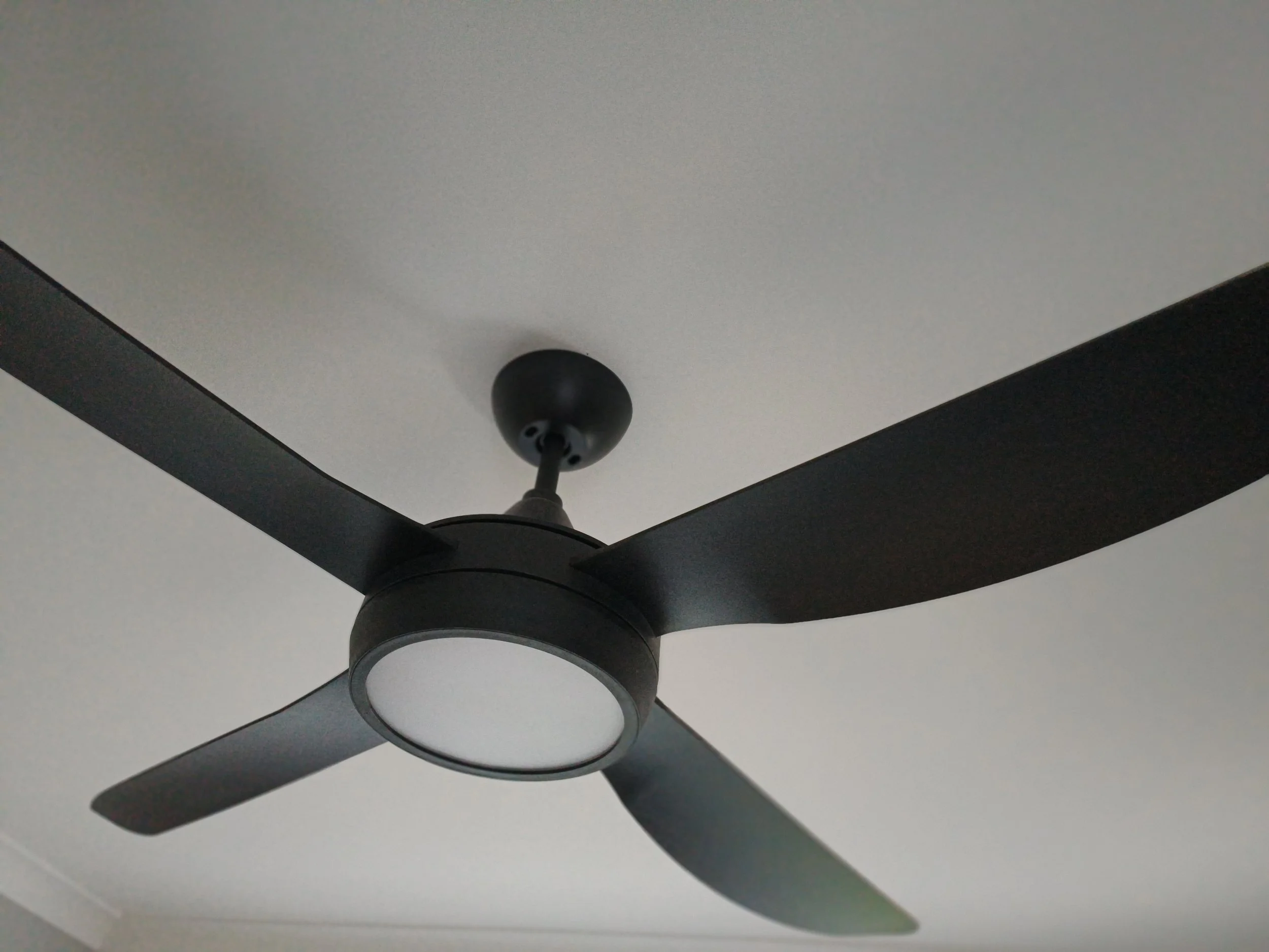 IMG20250804172242.jpg