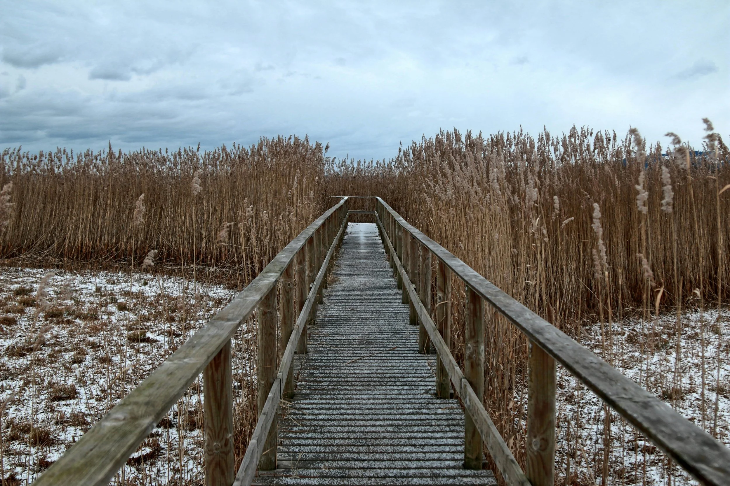 Therapy, Counseling, or Coaching- What’s the Difference?