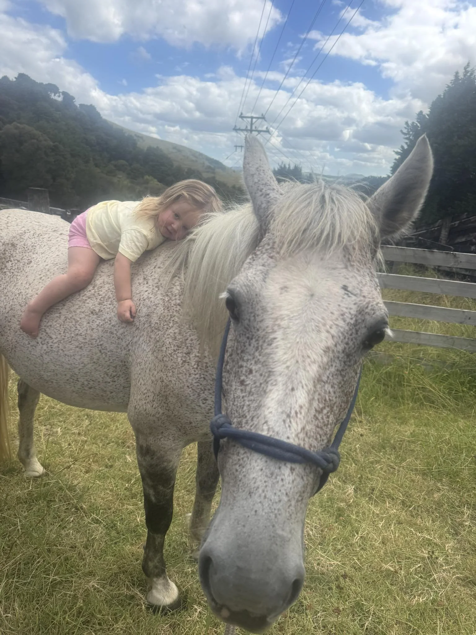 A young girl with blonde hair lying on the back of a white and gray speckled horse outdoors on a grassy field, with mountains and cloudy sky in the background.