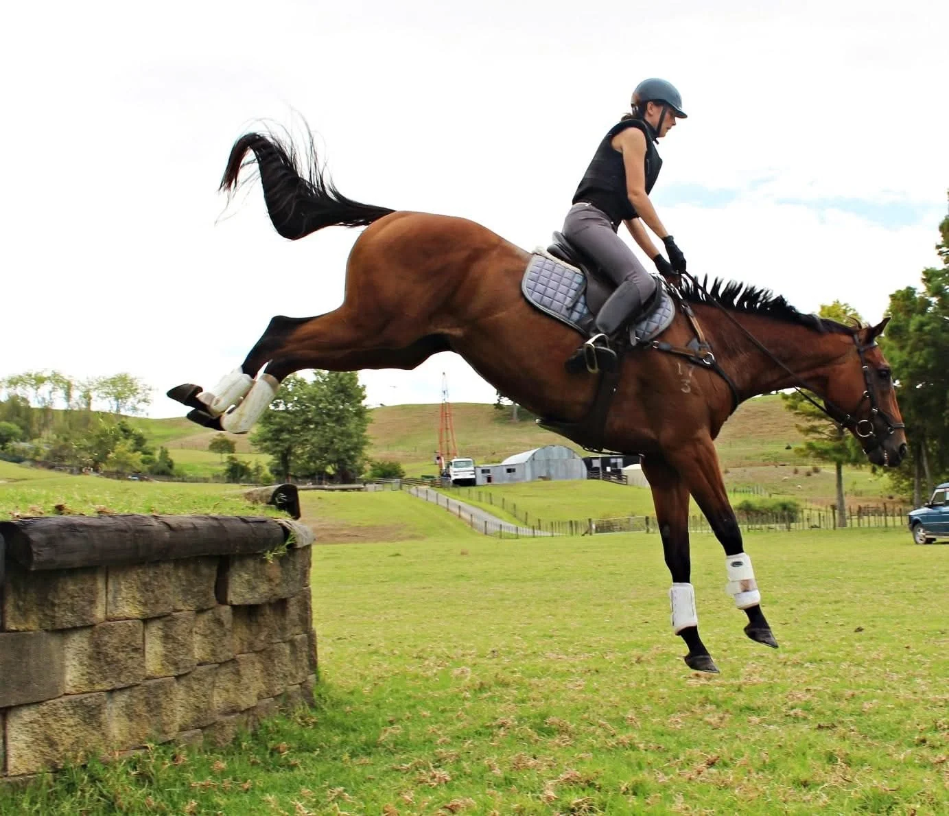 A person riding a horse jumps over an obstacle in a field.