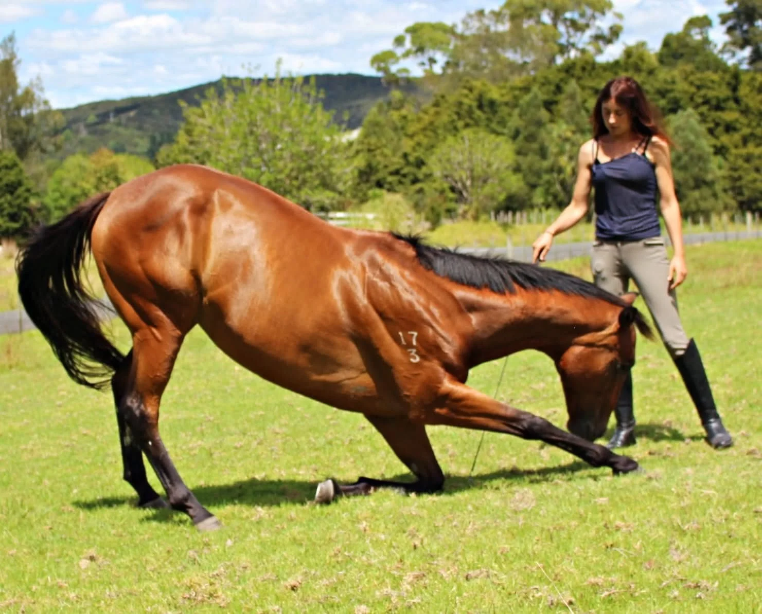 A woman in riding boots and casual clothing is standing on a grassy field, holding the reins of a galloping brown horse with black mane and tail, in an outdoor rural setting with trees and hills in the background.