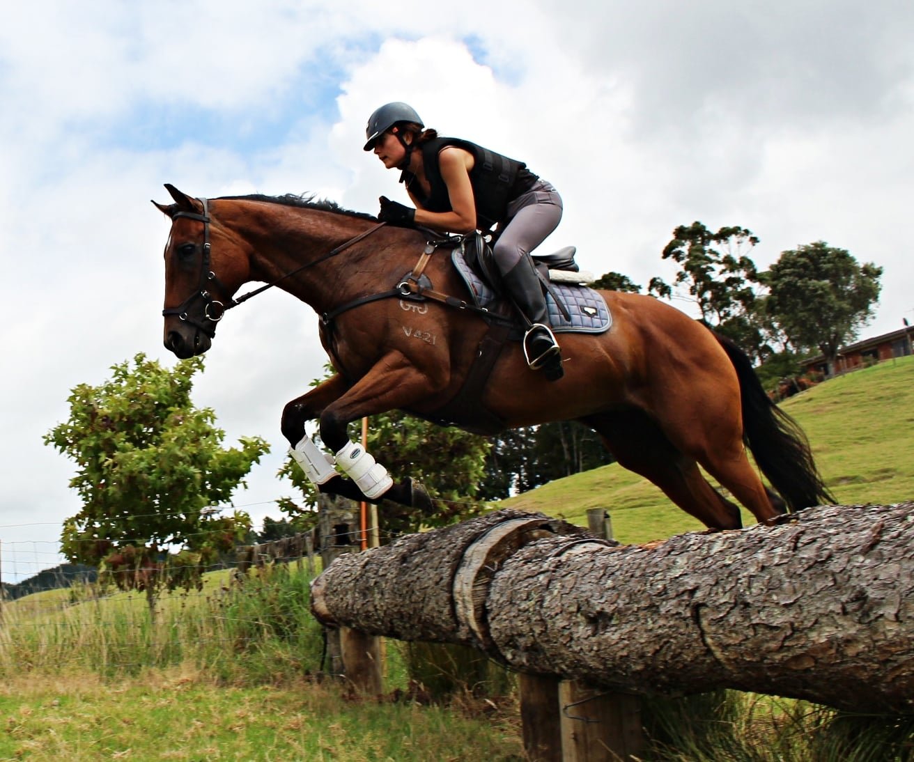 A woman riding a brown horse jumping over a log obstacle during an equestrian event outdoors.