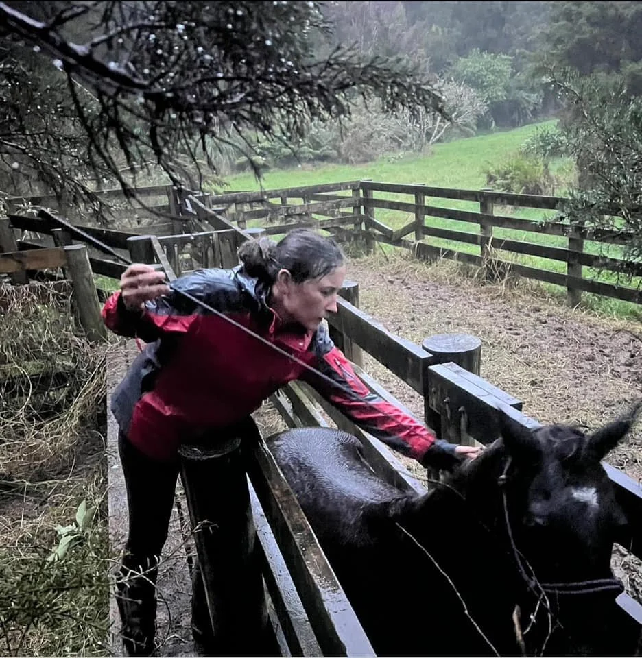 A woman in a red and black jacket leaning over a wooden fence, reaching to pet or feed a black cow in a rain-soaked outdoor area with lush green fields in the background.