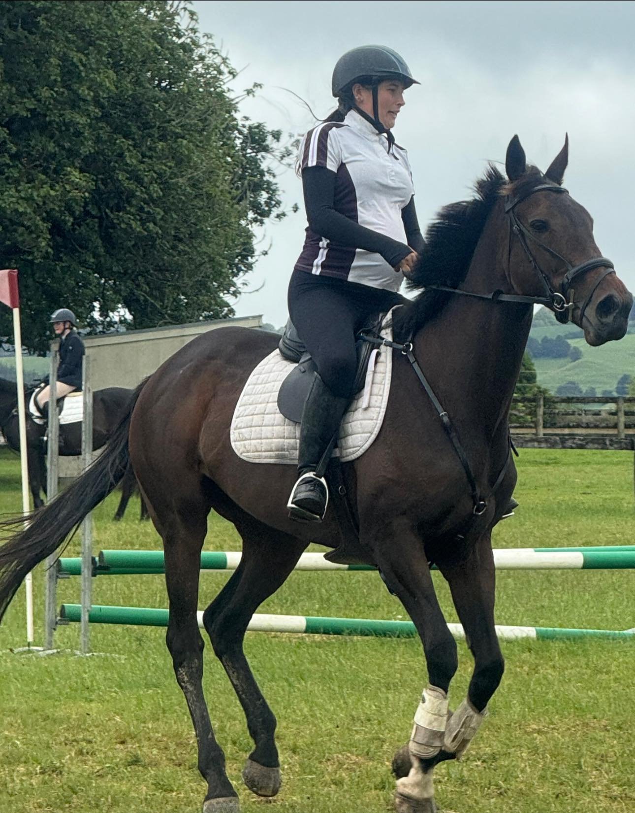 A woman riding a dark brown horse during a riding event, wearing a helmet, white shirt with black sleeves, black riding pants, and black boots, with a white saddle pad in an outdoor grass arena.
