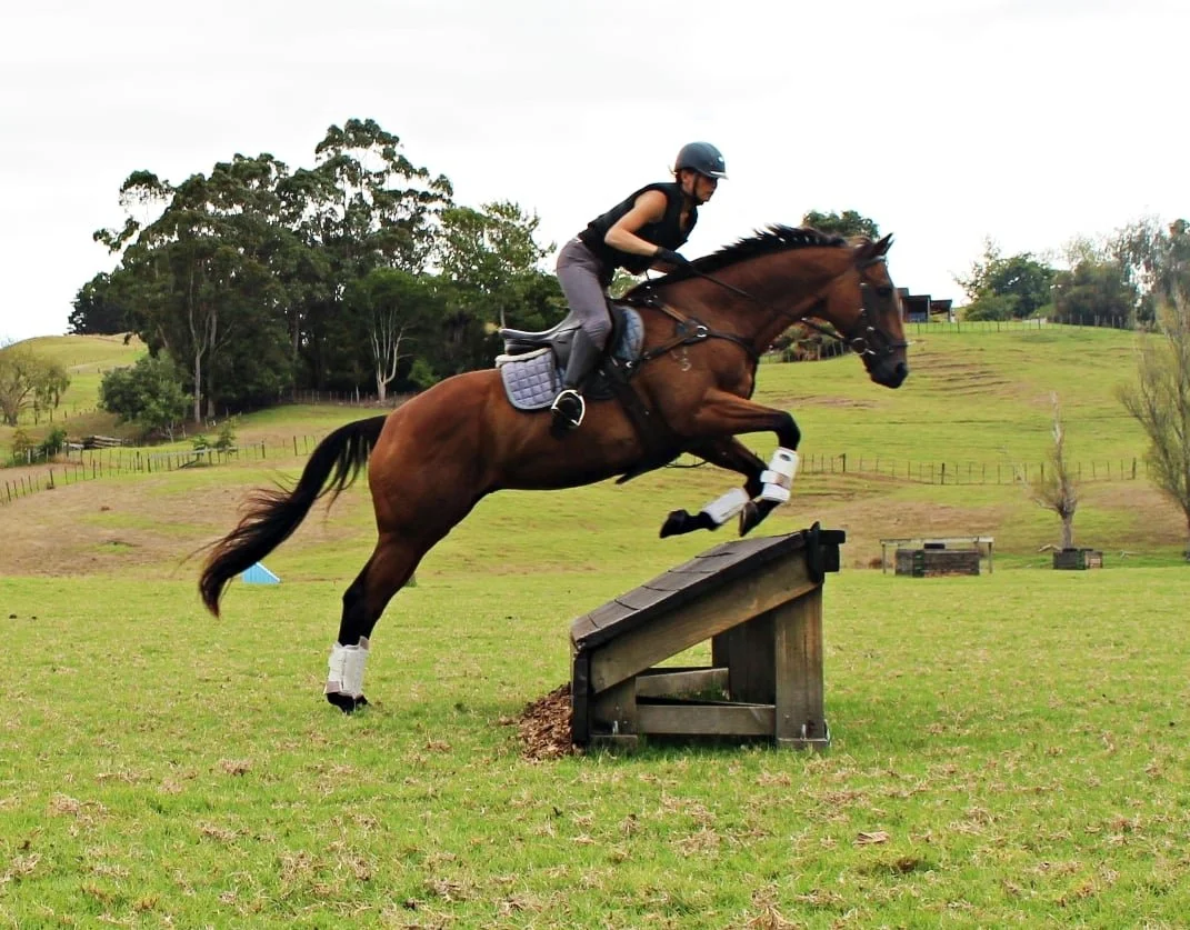 A woman riding a brown horse with a black mane and tail jumps over a small obstacle in an open field with green grass and rolling hills.