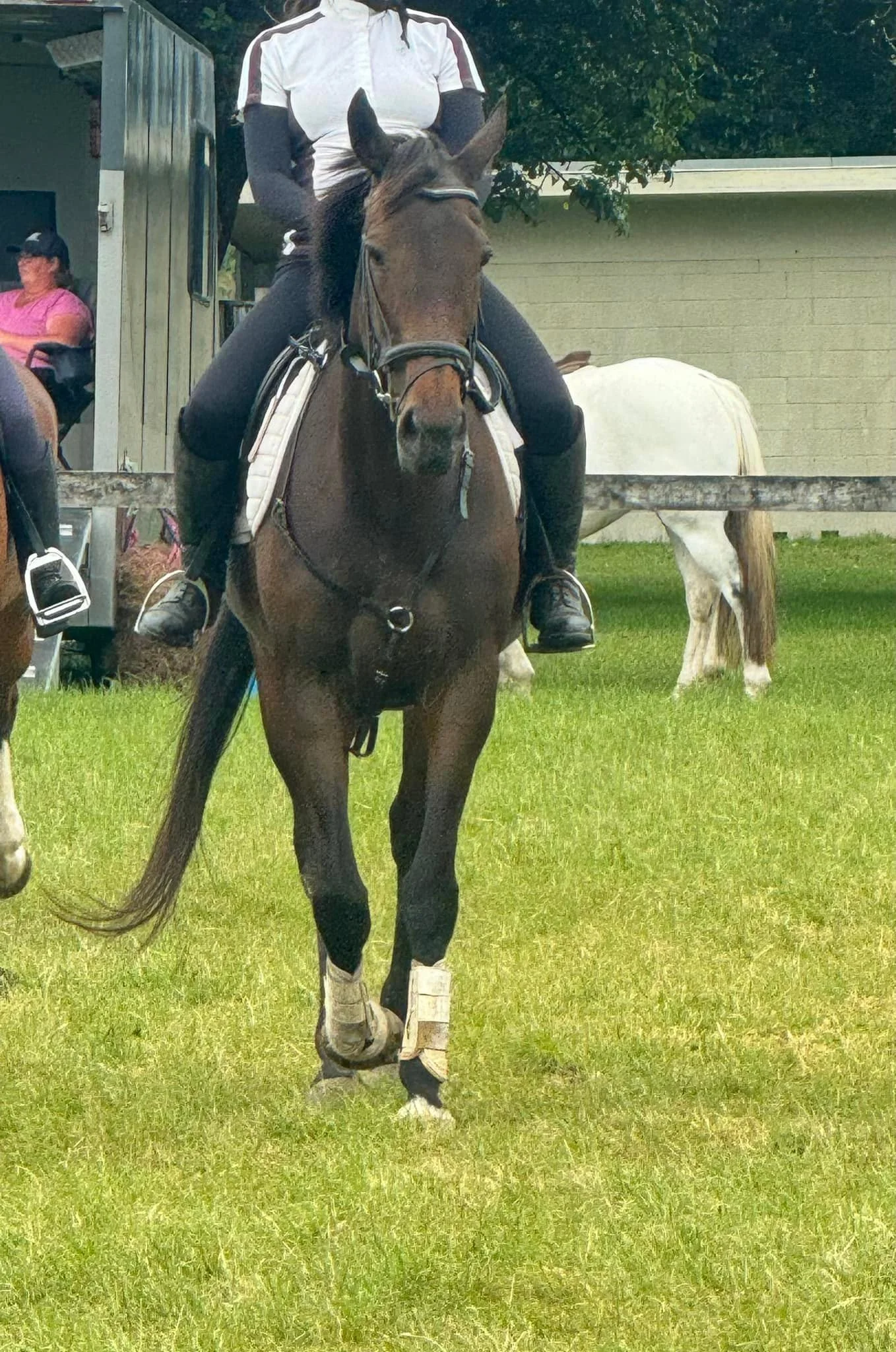 A person riding a dark brown horse on a grassy field, with another white horse in the background and a small house or shed behind them.