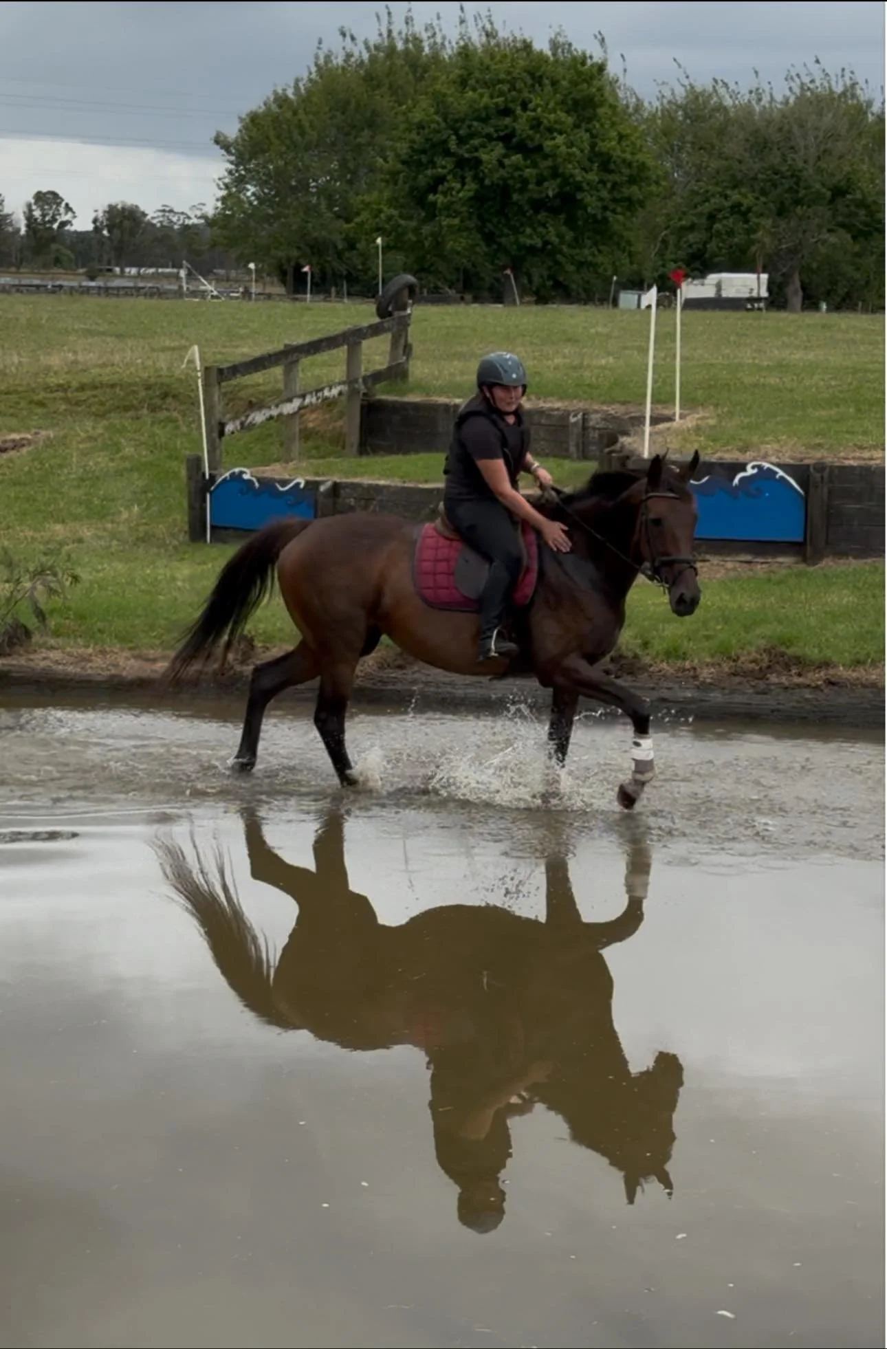 A person riding a horse through water at a cross-country jumping course with a blue and black obstacle in the background and trees in the distance.