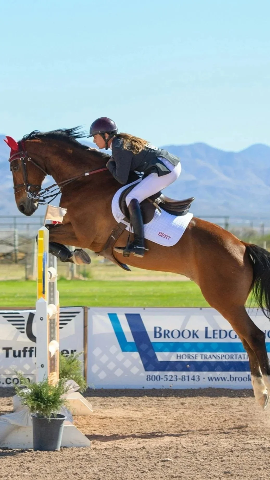 A female equestrian in riding attire and helmet jumping over a hurdle on a brown horse during a show jumping competition.