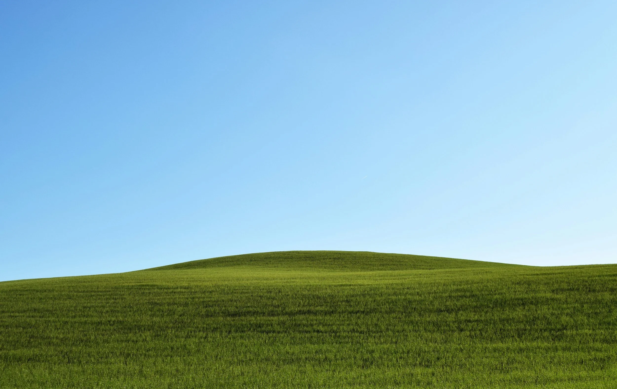 Hills I Will Die on as a Disabled Healing Practitioner