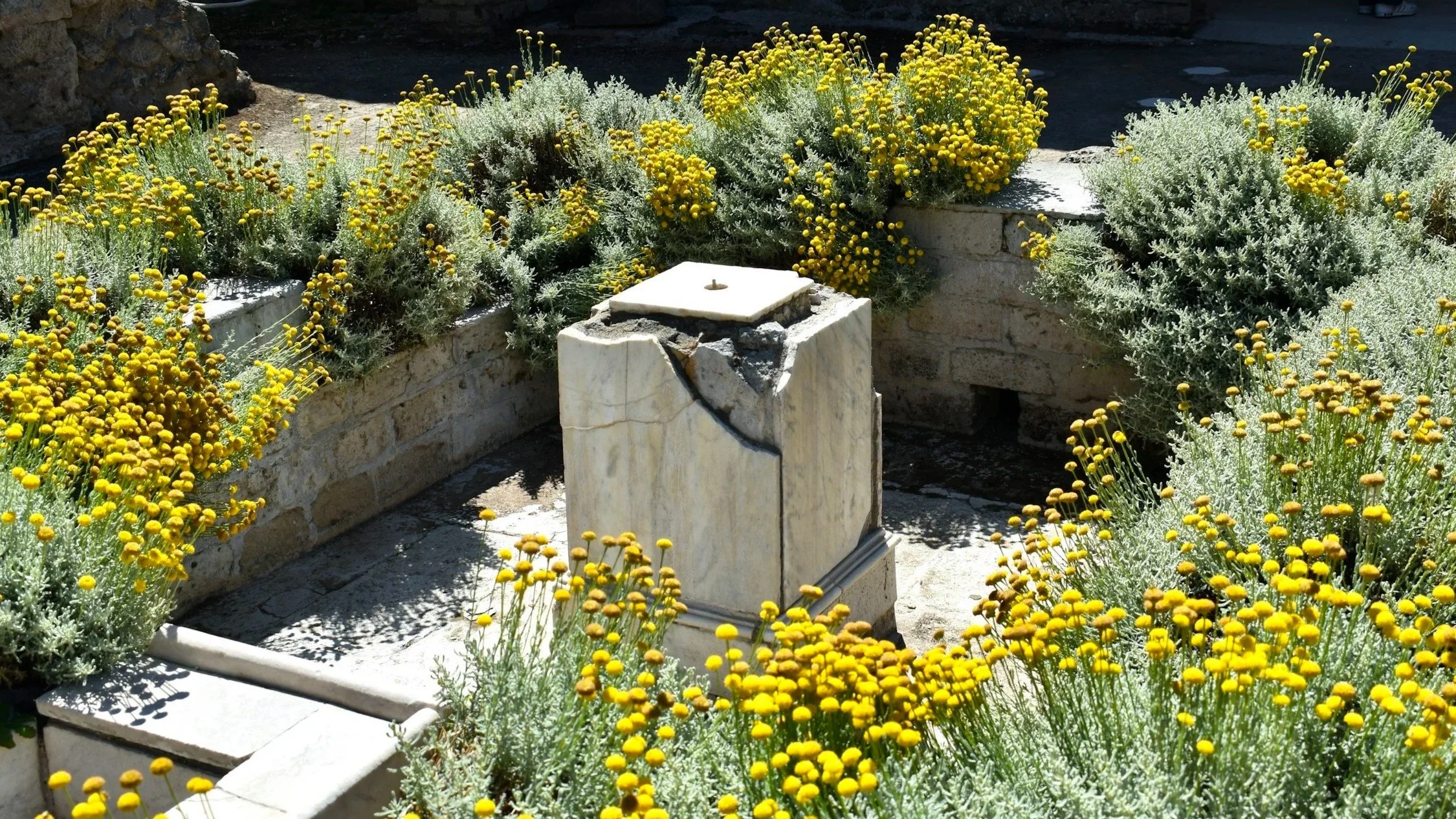 The Idol Trap: How Pedestal Culture Sabotages Care and Enables Exploitation