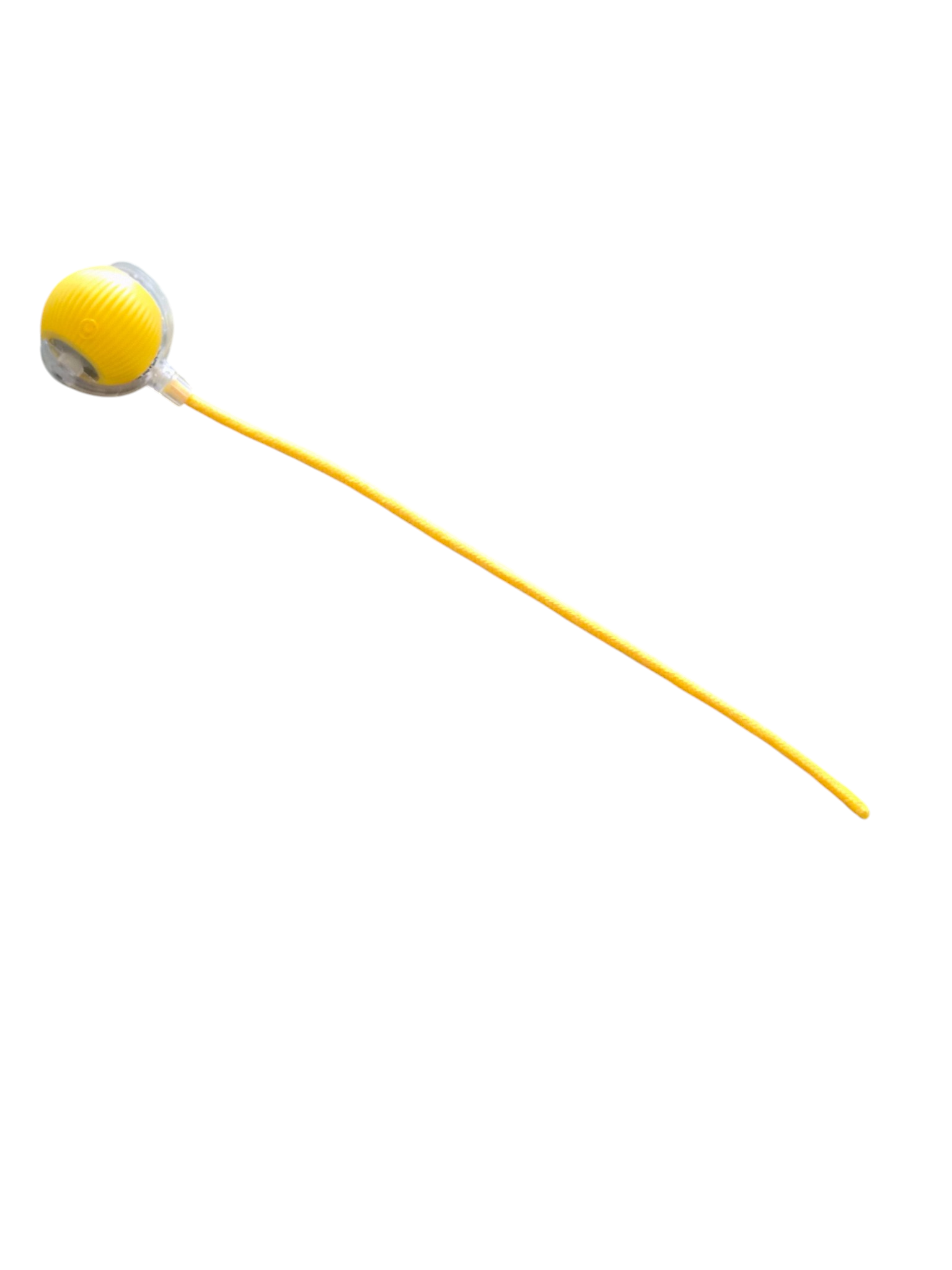 Cat's Delight Interactive Moving Toy