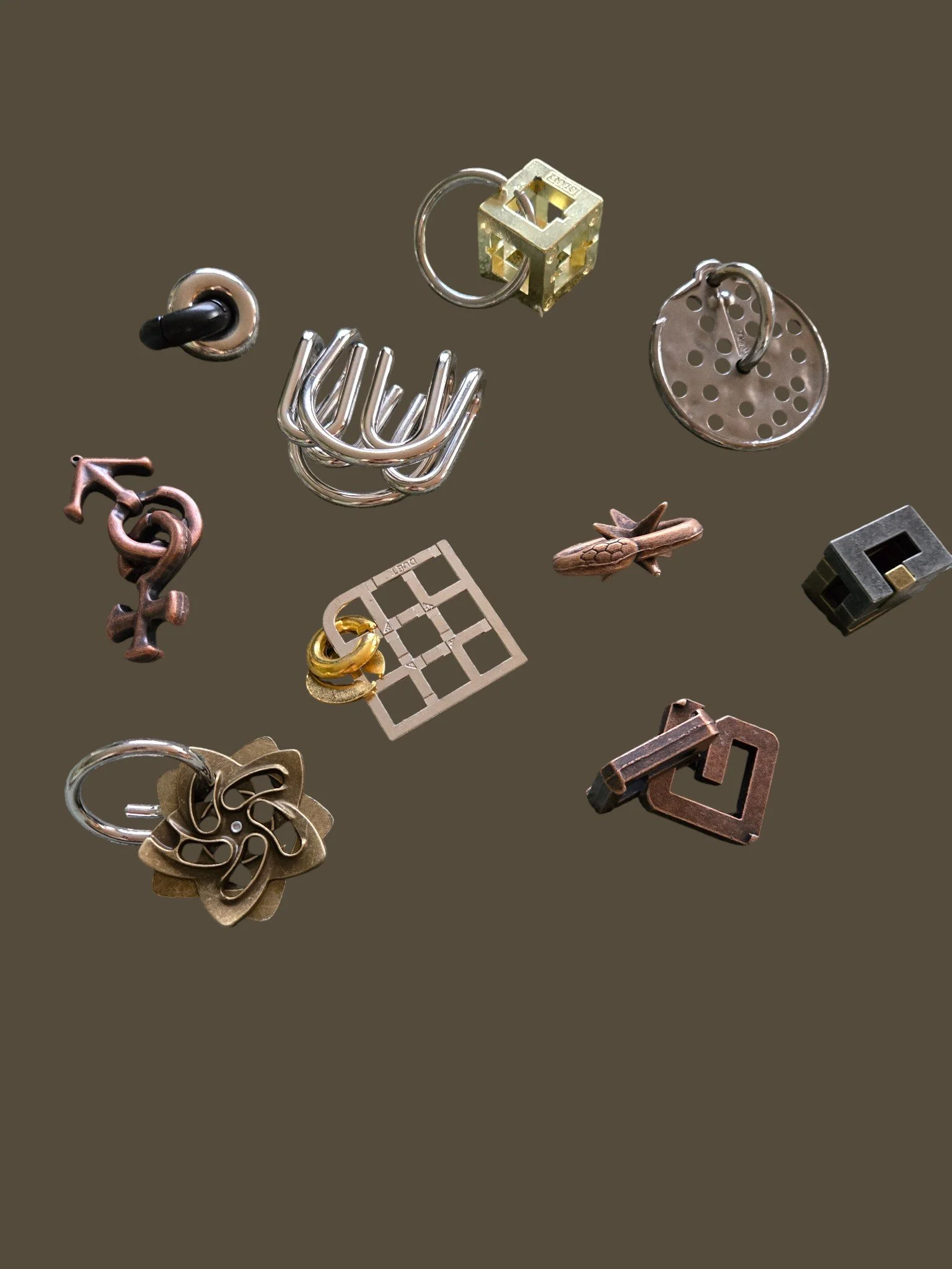 1000011638.jpg