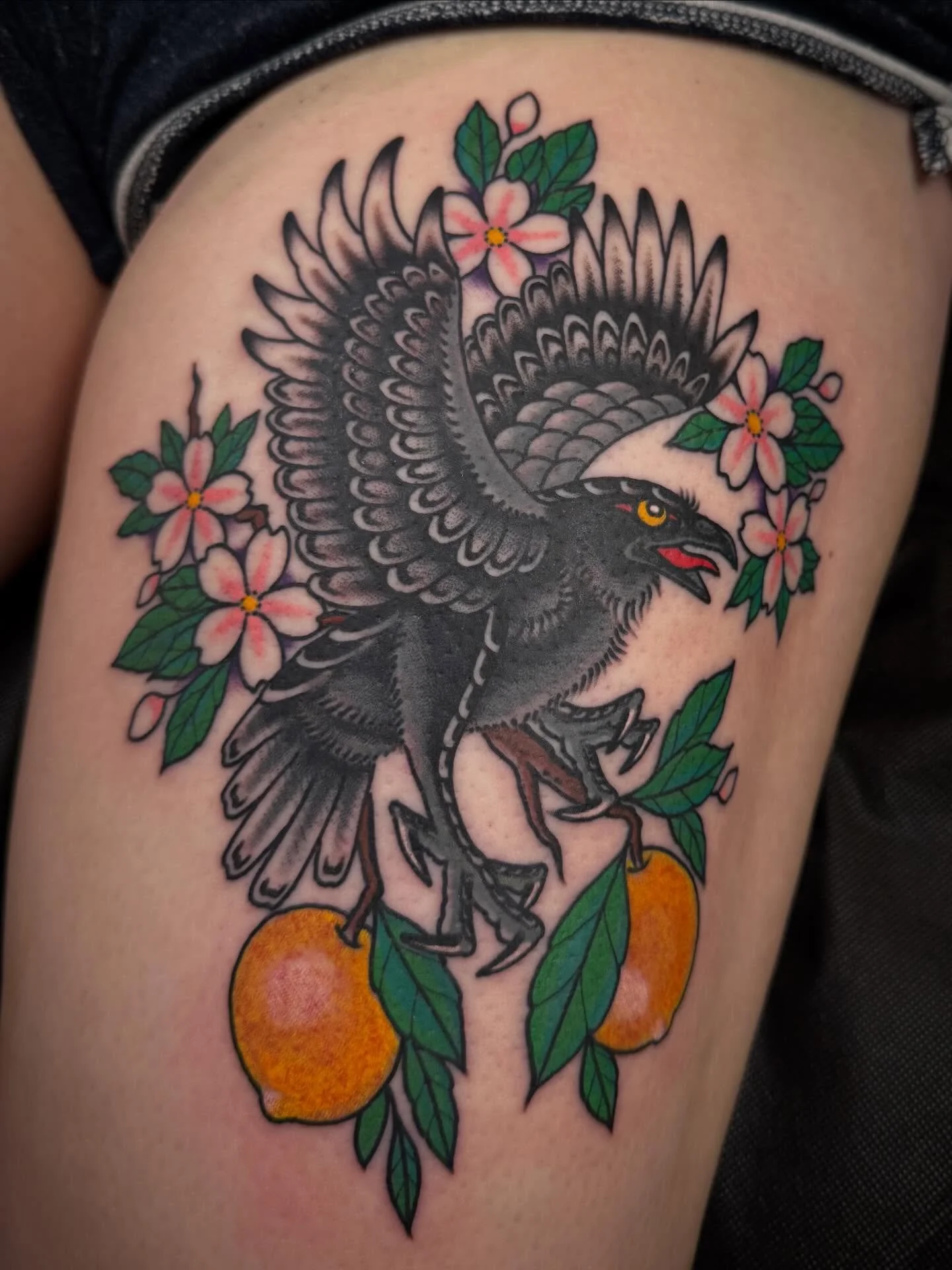 Raven 🐦&zwj;⬛ done @elmstreettattoo DM for questions or LINK IN BIO for appointments. #traditionaltattoo #americantraditional #tattooart #tattooartist #tattoos