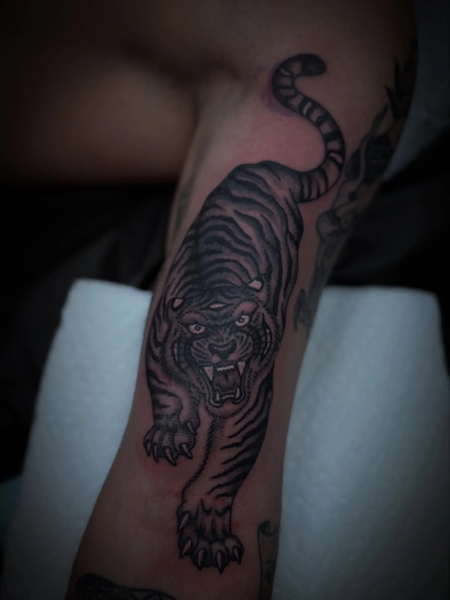 Bicep Tiger straight from the furry convention. Done @elmstreettattoo DM FOR QUESTIONS OR LINK IN BIO TO BOOK. #tattoo #tattoos #tattooartist #tattooart #ink