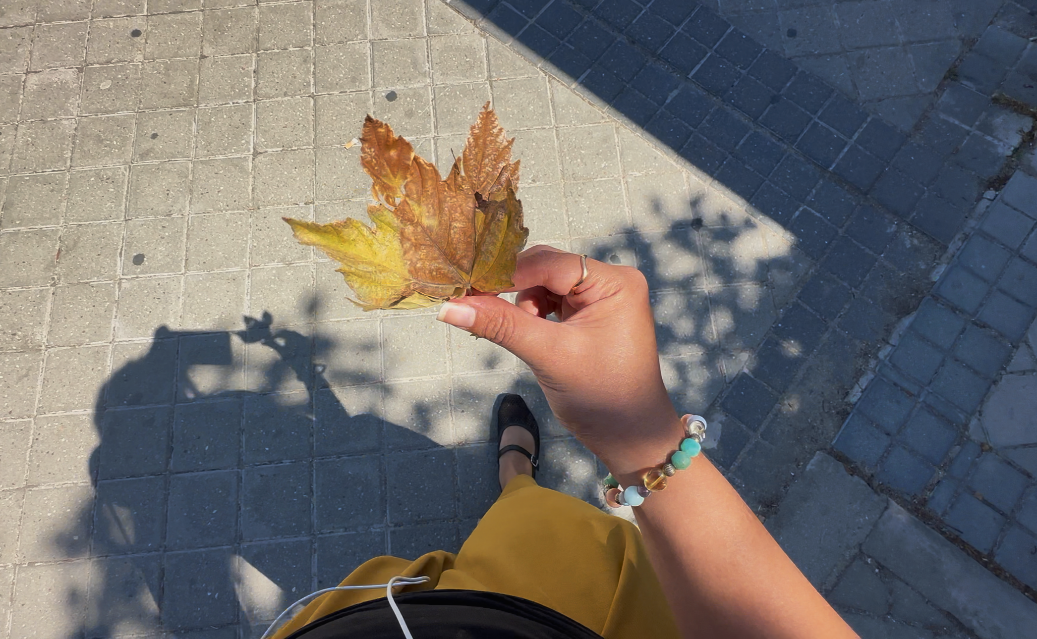 dried+leaf.png