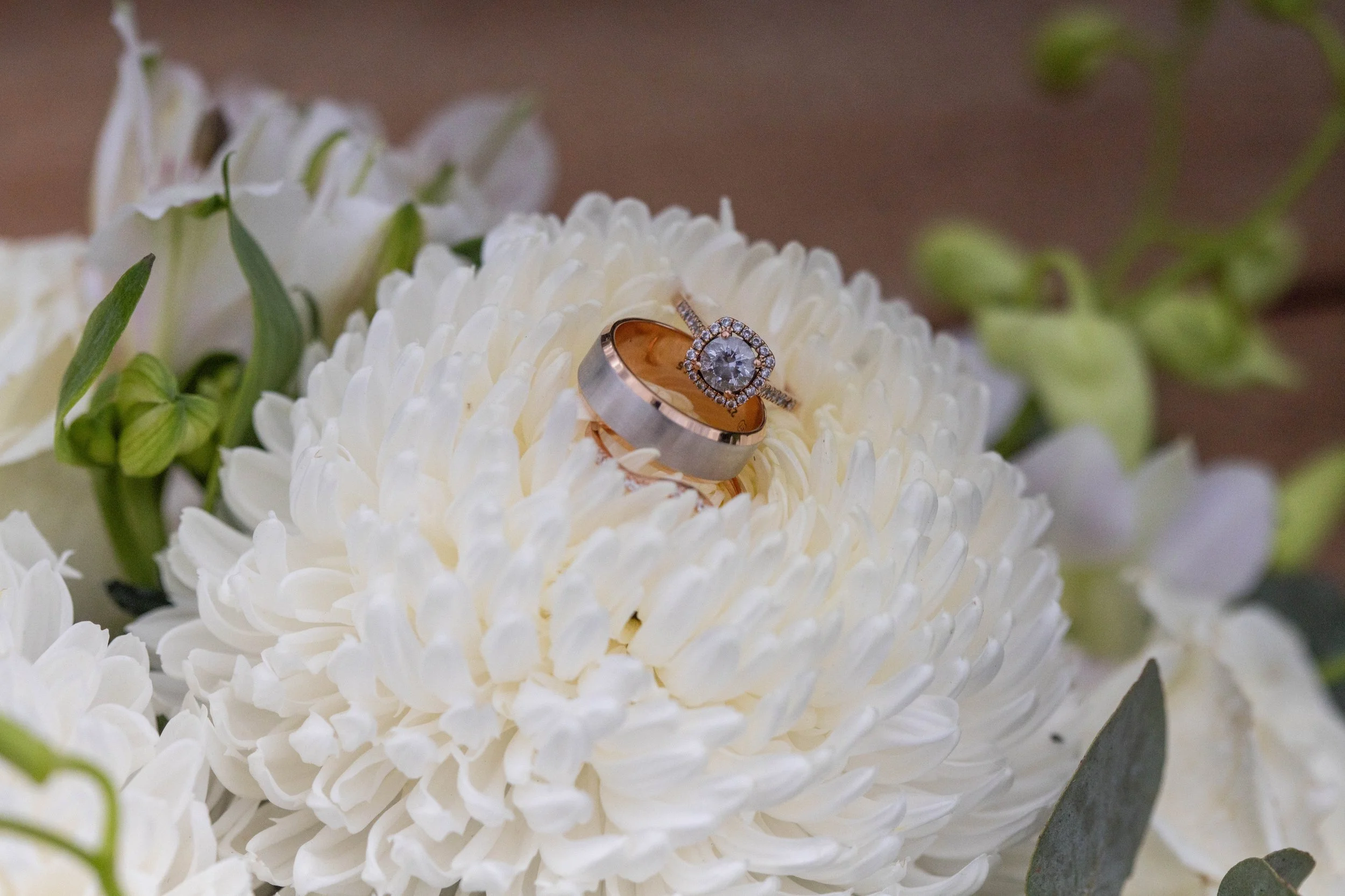 Rachael & Jacinta’s Wedding at Glen Erin at Lancefield