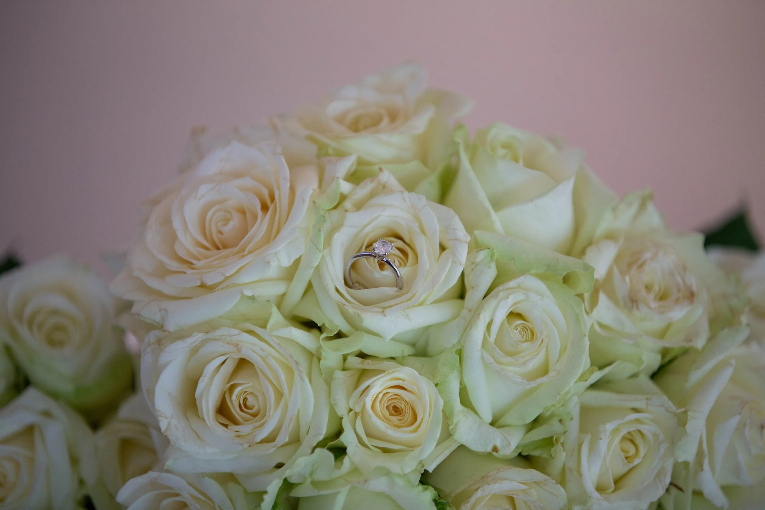 Tara & Scott’s Wedding - Ceremony in Somerville, Photo Shoot in Bonbeach & Reception at Mordialloc Life Saving Club