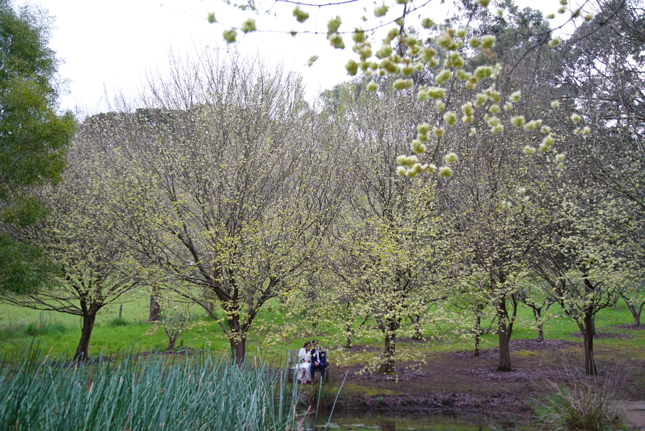 Amelia & Andrew's Wedding at Lancemore Lindenderry at Red Hill on the Mornington Peninsula 
