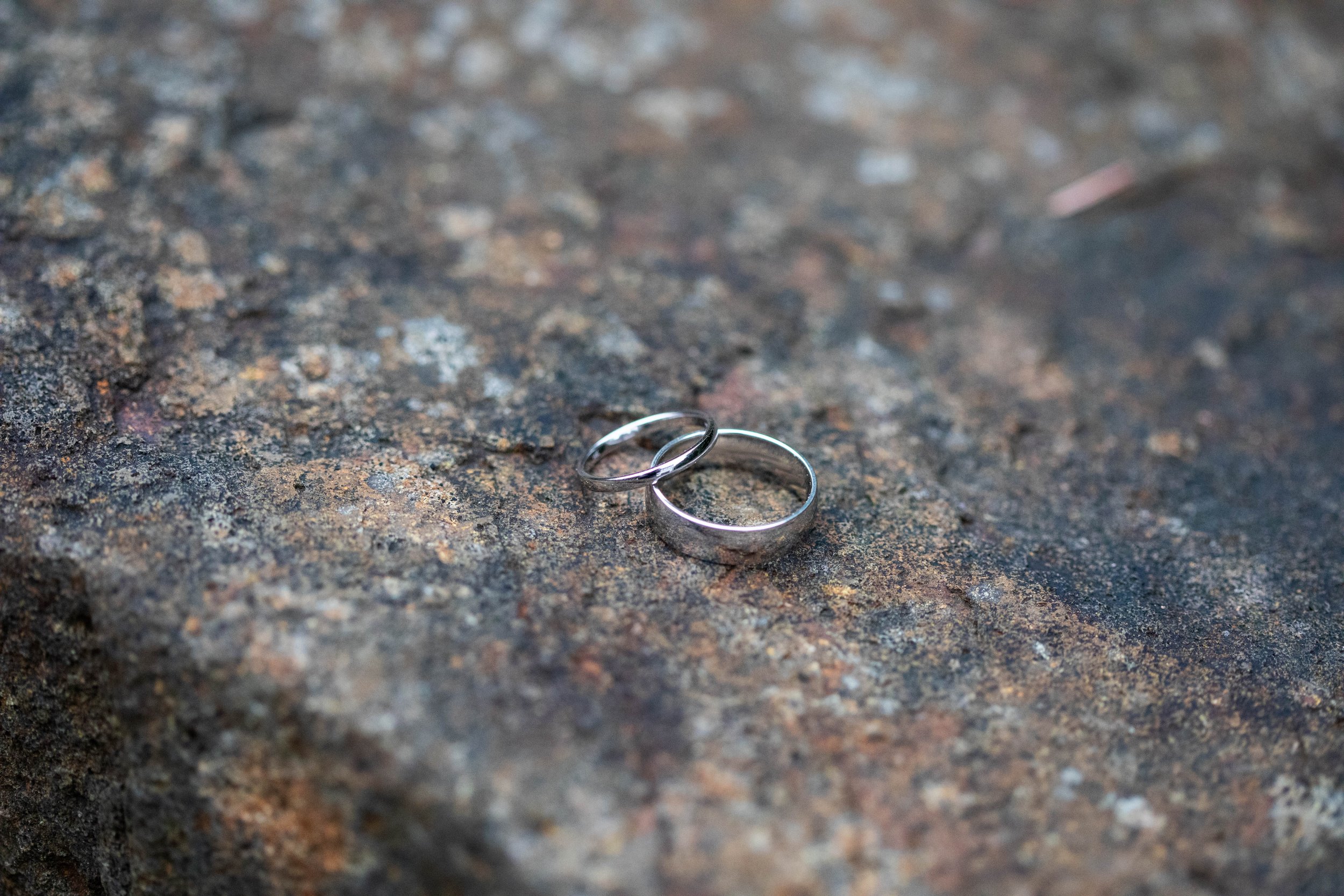 Tiffany & Luke’s Wedding at Marybrooke Manor