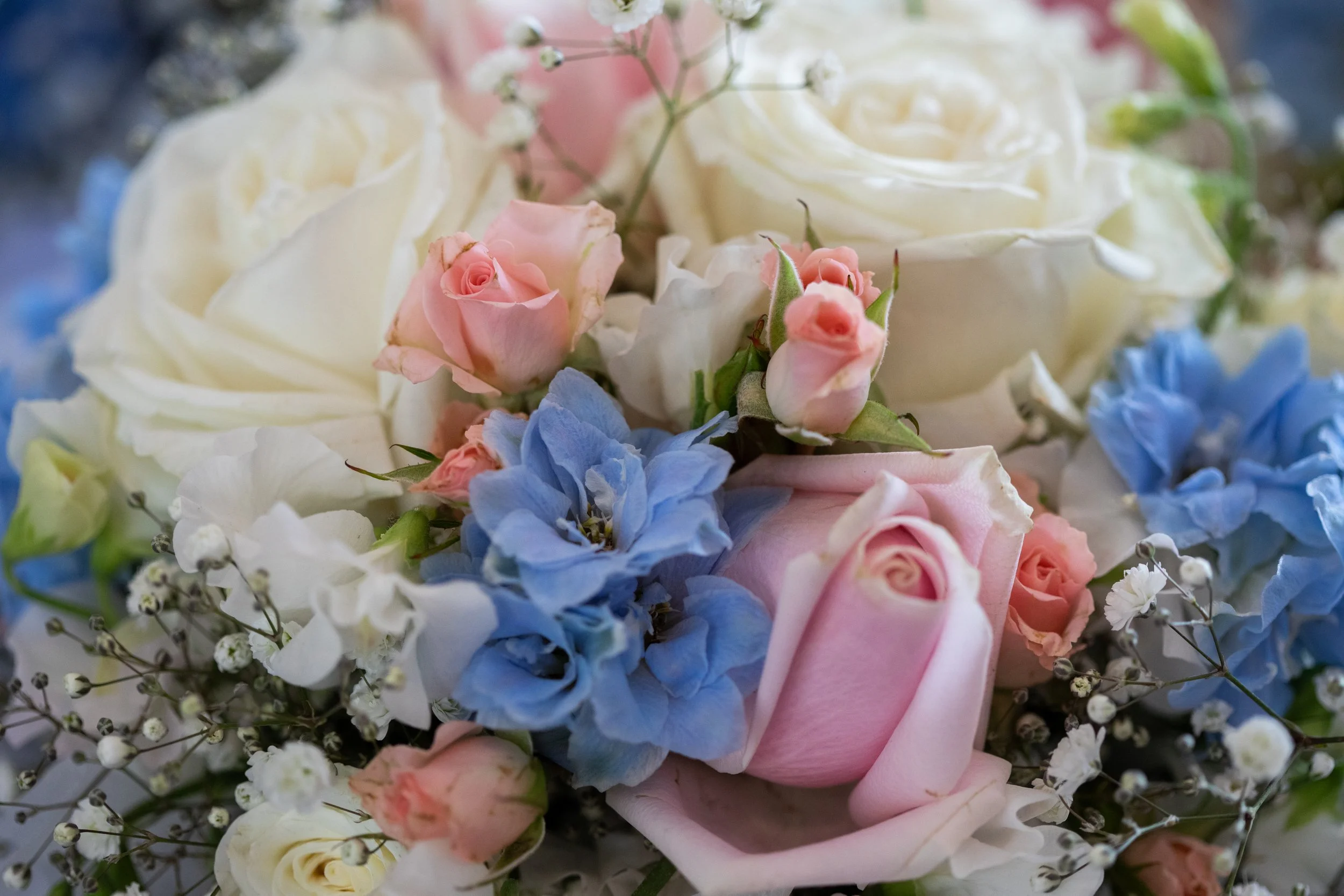 Danielle & Lachy's Wedding at Crittendan Wines in Dromana on the Mornington Peninsula