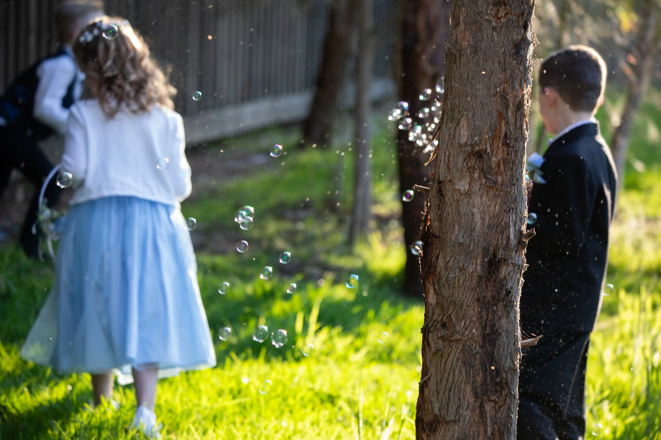 Donna & Marty's Wedding at The Little Vineyard in Chirnside Park