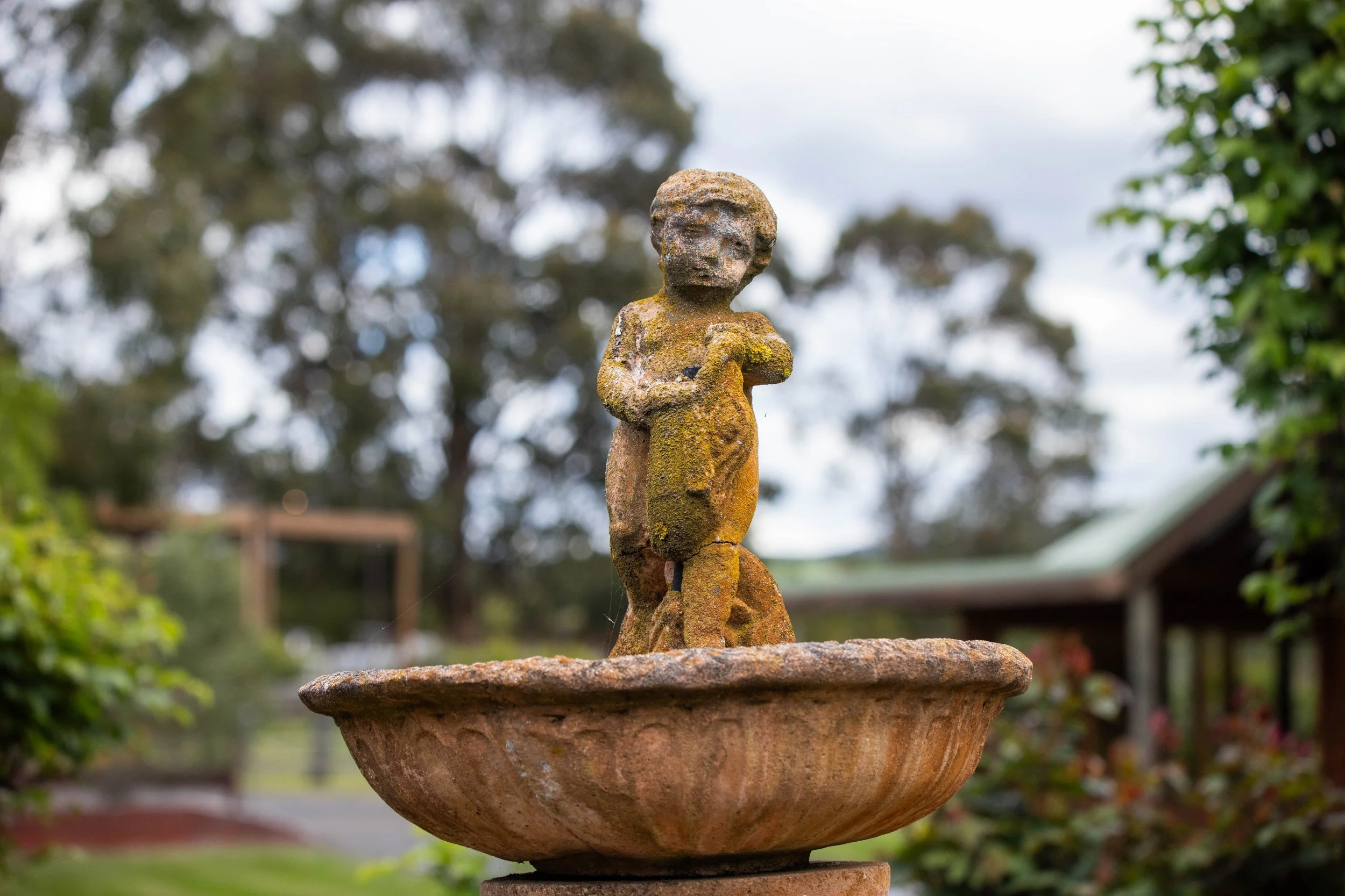 Rachael & Jacinta’s Wedding at Glen Erin at Lancefield
