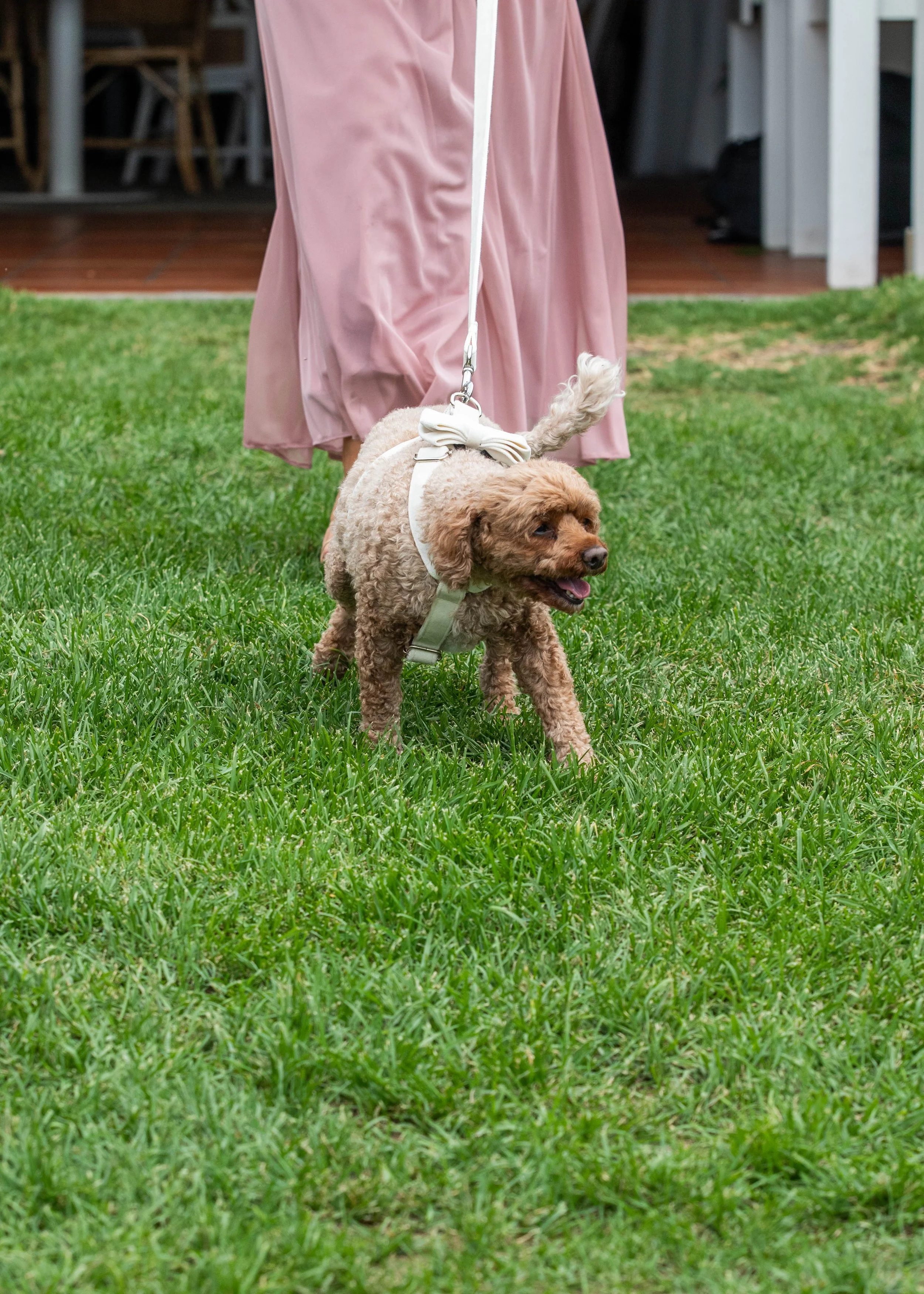 Serena & Kate’s Wedding - Ceremony at Portsea Hotel
