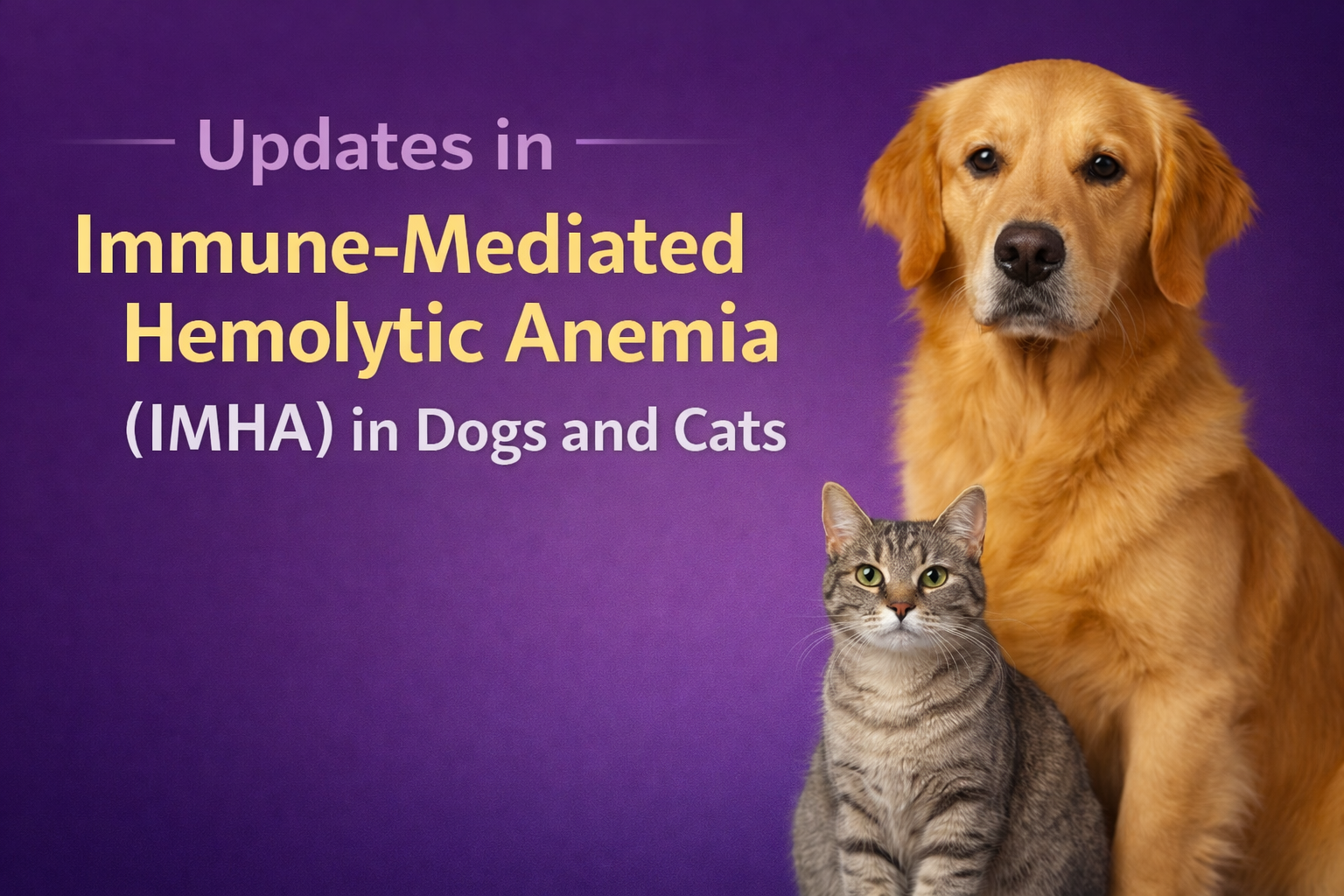 Updates in Immune-Mediated Hemolytic Anemia (IMHA) in Dogs and Cats