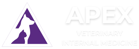 APEX Veterinary Internal Medicine