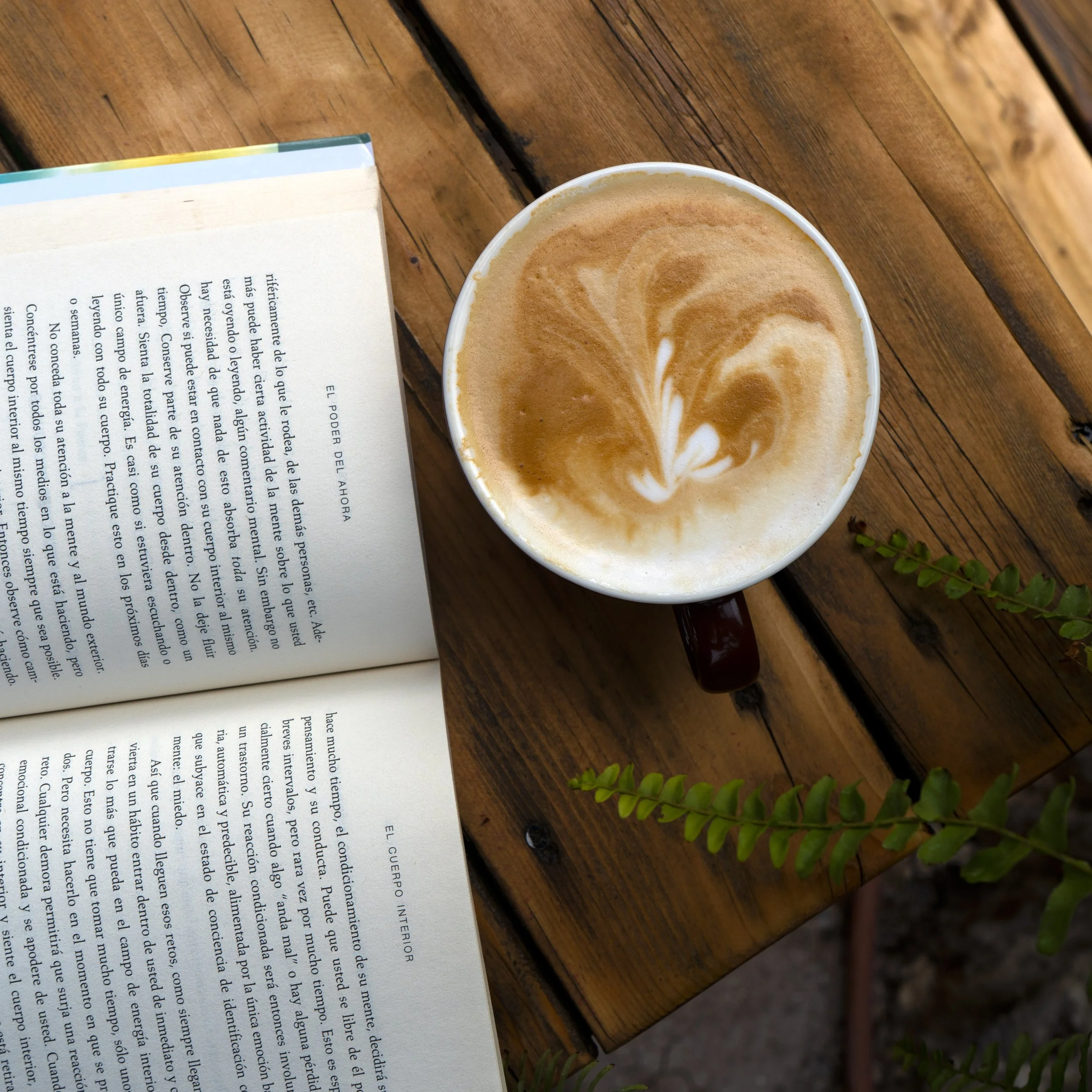 Café y Lectura.jpg