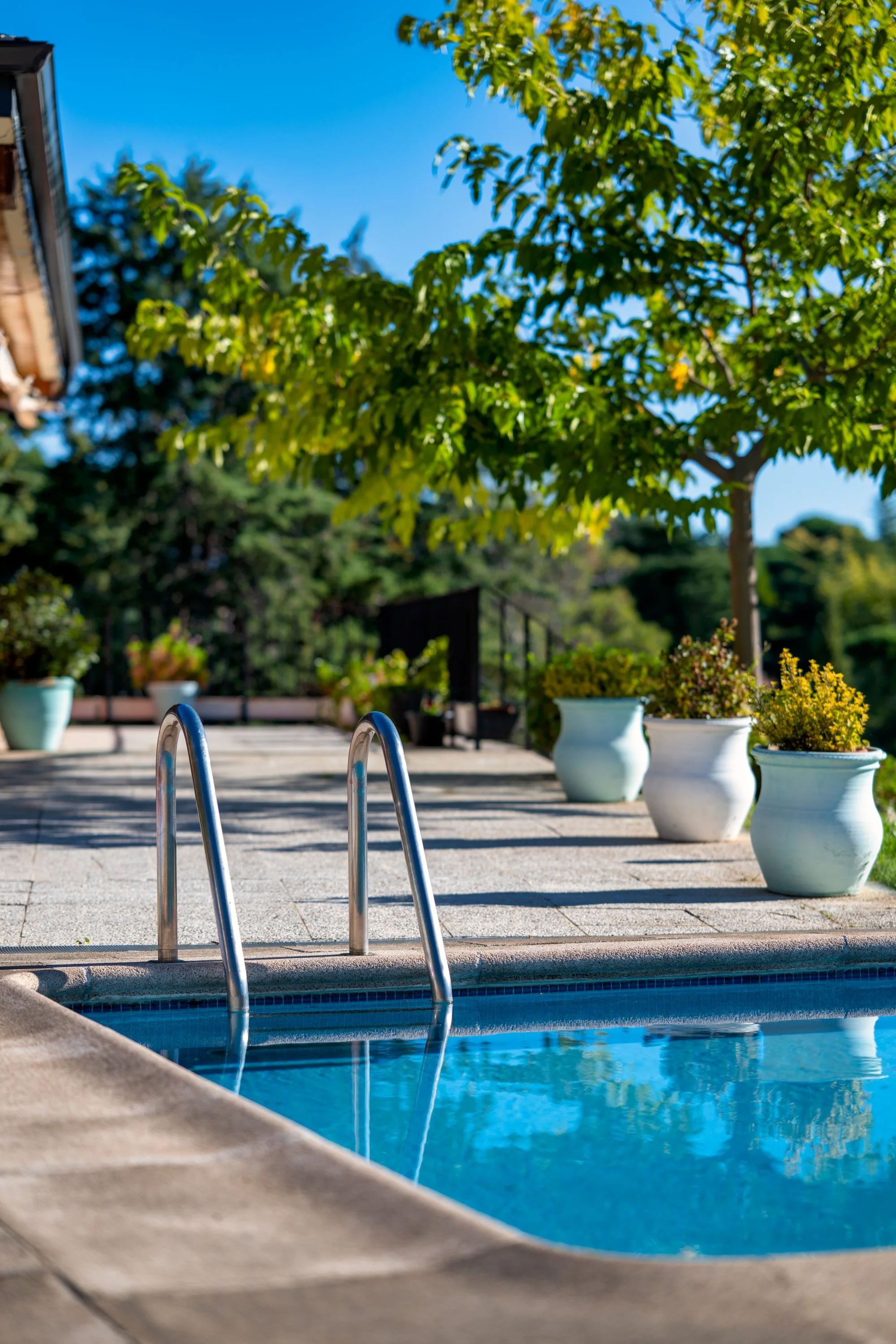 Piscina con barandillas de metal, rodeada de macetas blancas con plantas verdes, árbol grande con follaje verde y cielo azul claro en un día soleado.