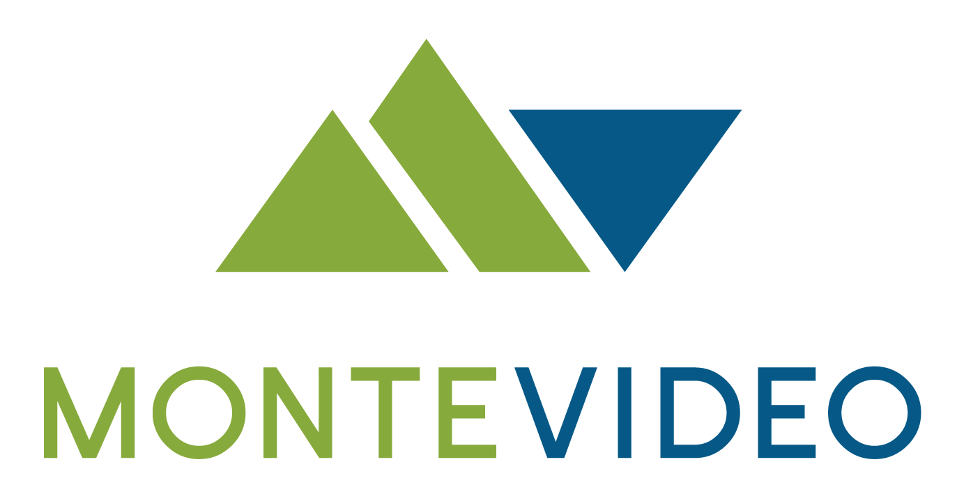MonteVideo 500x250.png